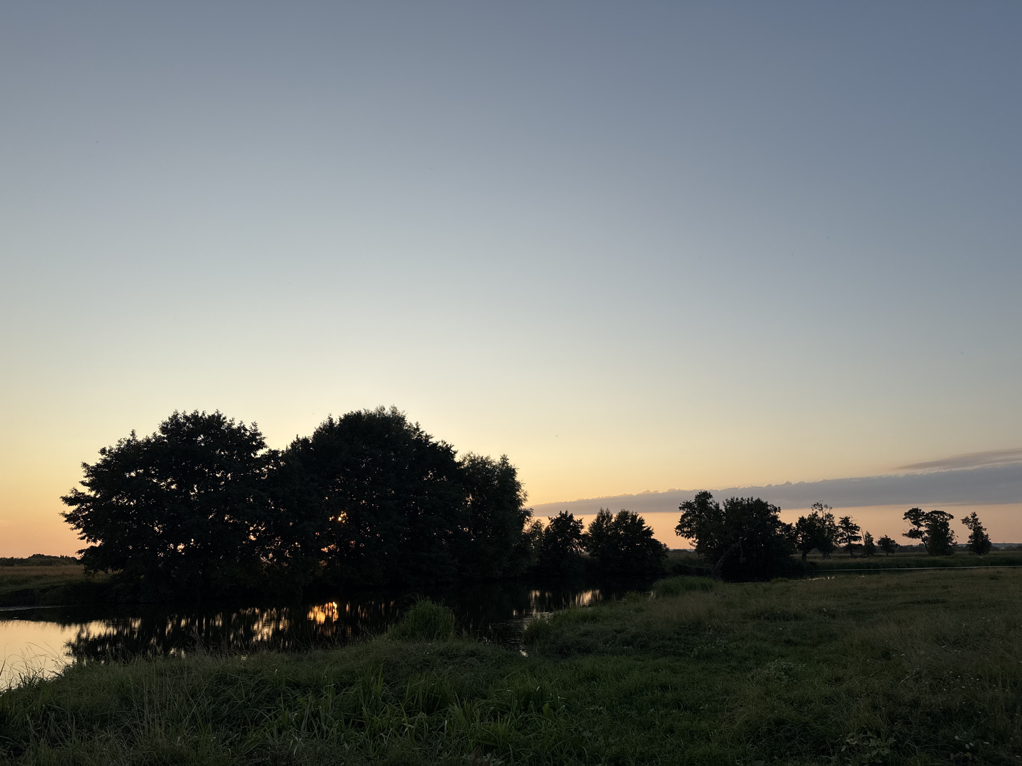 The image depicts a tranquil natural landscape at dusk, likely in or near Boriskino, Russia, as suggested by the provided information. The sky transitions from a pale blue at the top to soft hues of yellow and orange near the horizon, indicating the setting sun. A body of water, possibly a river or a lake, occupies the lower left portion of the frame, its surface reflecting the warm tones of the sky and the dark silhouettes of trees.
Dominating the left and center of the image are several large trees, their dense foliage creating a striking silhouette against the twilight sky. The branches and leaves are rendered in deep shadow, with occasional glimpses of the setting sun filtering through. The water reflects the trees, creating a mirrored effect that adds depth to the scene.
To the right of the water and trees, a grassy field stretches into the distance. The grass is rendered in muted greens and browns, with hints of wildflowers visible. The horizon is lined with more scattered trees and a low-lying landform, all silhouetted against the fading light. A few wispy clouds are visible in the sky, tinged with the colors of sunset.
The overall impression is one of peace and natural beauty, capturing the serene atmosphere of a rural landscape at the end of the day. There are no people or animals visible in the image, emphasizing the solitude of the scene. The lighting conditions suggest it is either sunrise or sunset, with the warm, diffused light creating a soft and atmospheric quality.