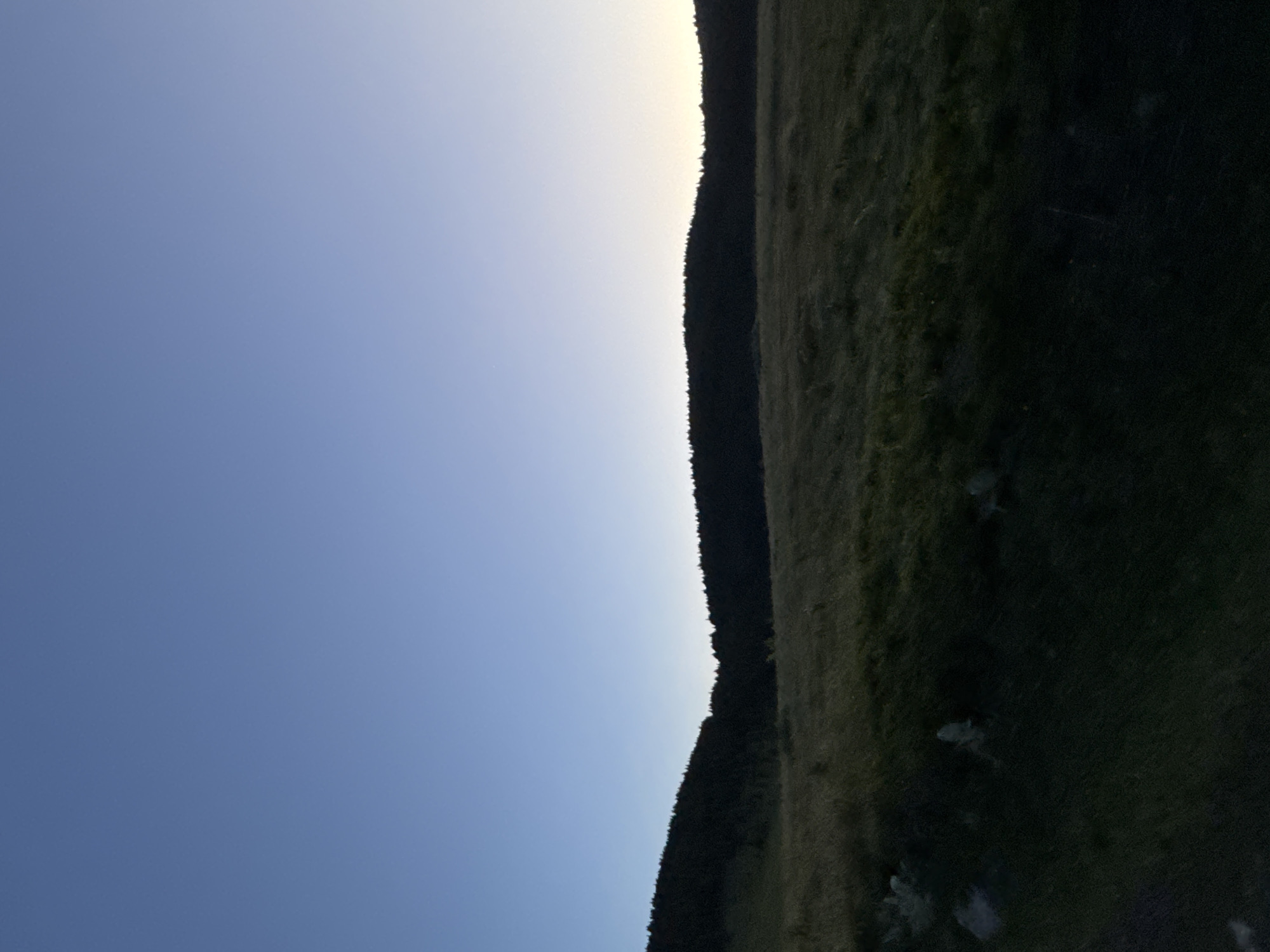 A wide-angle landscape photograph depicts a dimly lit, grassy field in the foreground with a dark, silhouetted tree line forming the mid-ground. The horizon is clearly defined, separating the land from a gradient of pale blue sky, transitioning to a darker blue at the top. The scene appears to be captured during twilight or dawn, with minimal light illuminating the landscape. No people, animals, or specific structures are visible within the frame. The image is static and lacks any indication of action or interaction. The location is identified as Gela, Bulgaria.
