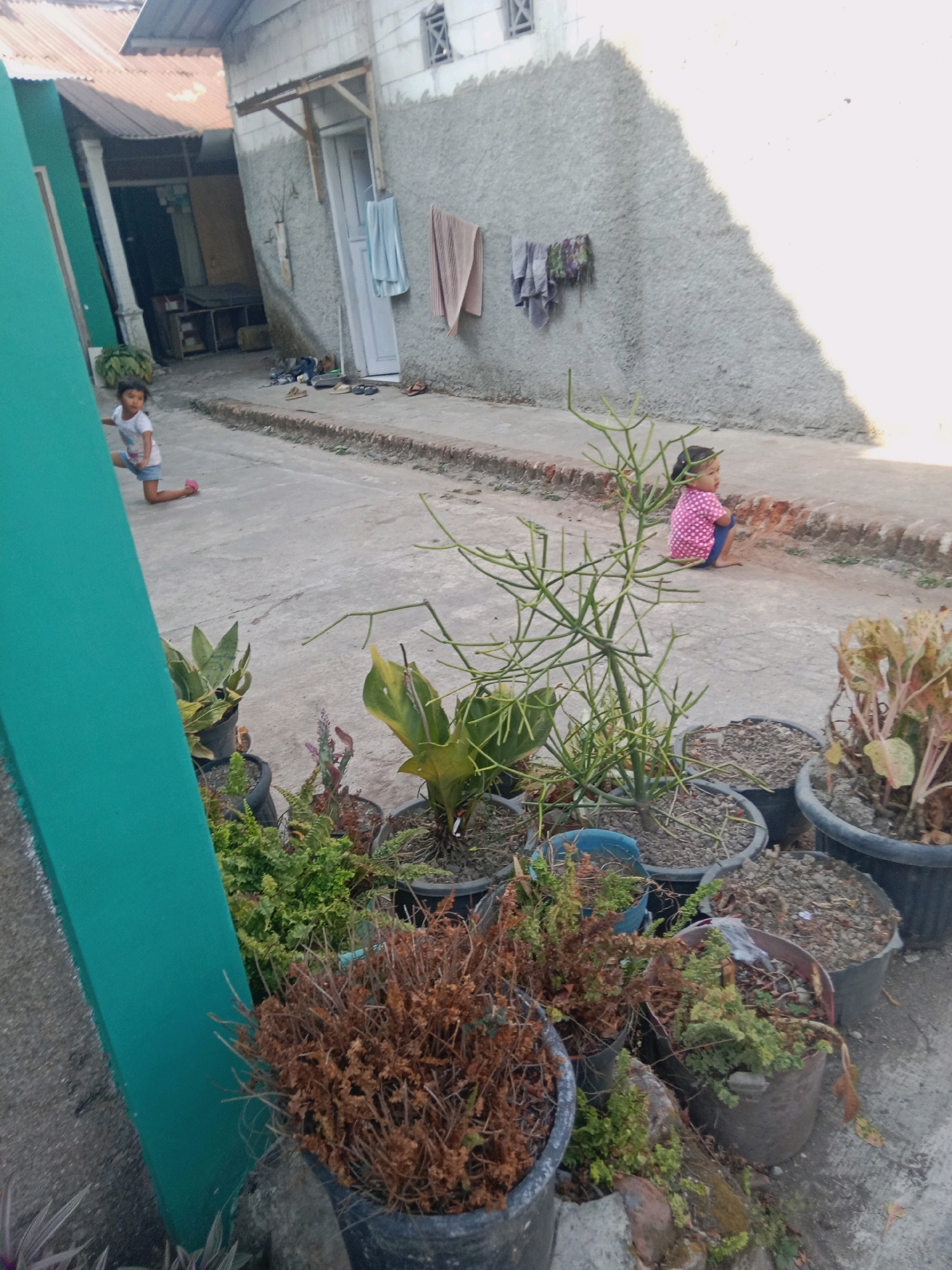 In a residential outdoor area in Dangkel, Indonesia, two young children are present. On the left, a child kneels on a concrete surface. To the right, a child sits facing away from the camera, wearing a pink polka-dot shirt and blue bottoms. The scene features a rough, gray concrete wall with laundry hanging on a line. Various potted plants are situated on the ground, some appearing dry and others greener. A turquoise-colored structure, possibly a wall or fence, is visible on the left side of the frame. The ground is made of concrete, with a brick border separating it from a narrower pathway. Buildings with corrugated metal roofs are visible in the background.