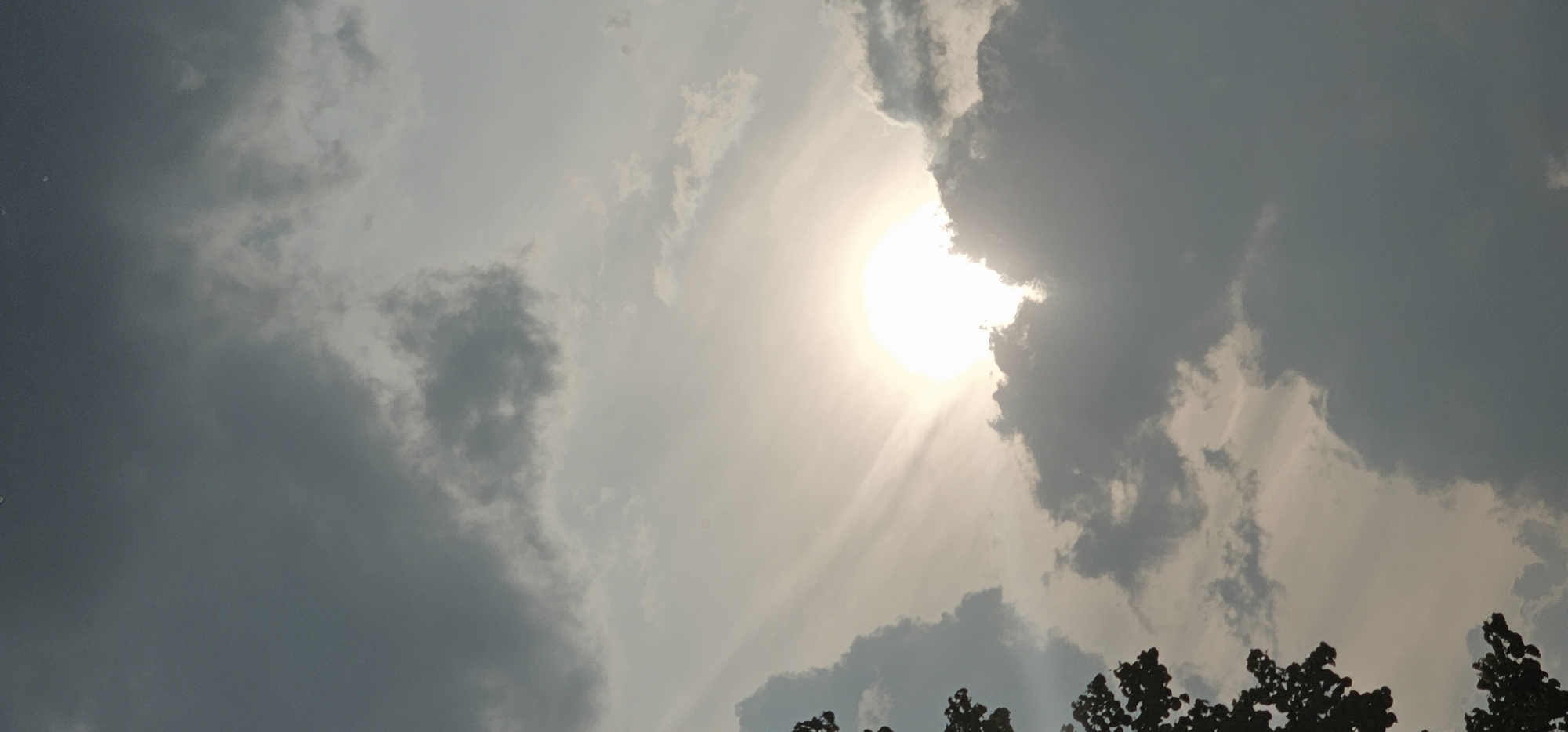 The image is a vertical, low-angle shot of a sky filled with dramatic, dark clouds. The sun is a bright, diffused orb peeking through a gap in the clouds, casting a soft, white light that illuminates the scene. Wispy, lighter clouds are streaked across the sky, creating a textured, dynamic atmosphere. On the left side of the frame, the dark silhouette of tree branches is visible, partially obscuring the sky. The scene appears to be an outdoor environment, possibly a park or open space, given the presence of trees. The lighting suggests it is either early morning or late afternoon, with the sun low in the sky. There are no people or man-made structures clearly visible in the frame. The overall mood of the image is somewhat ominous due to the dark clouds, yet also serene due to the soft light of the sun. The image does not contain any recognizable landmarks or specific features that would allow for pinpointing its exact location within Dresden, Germany.