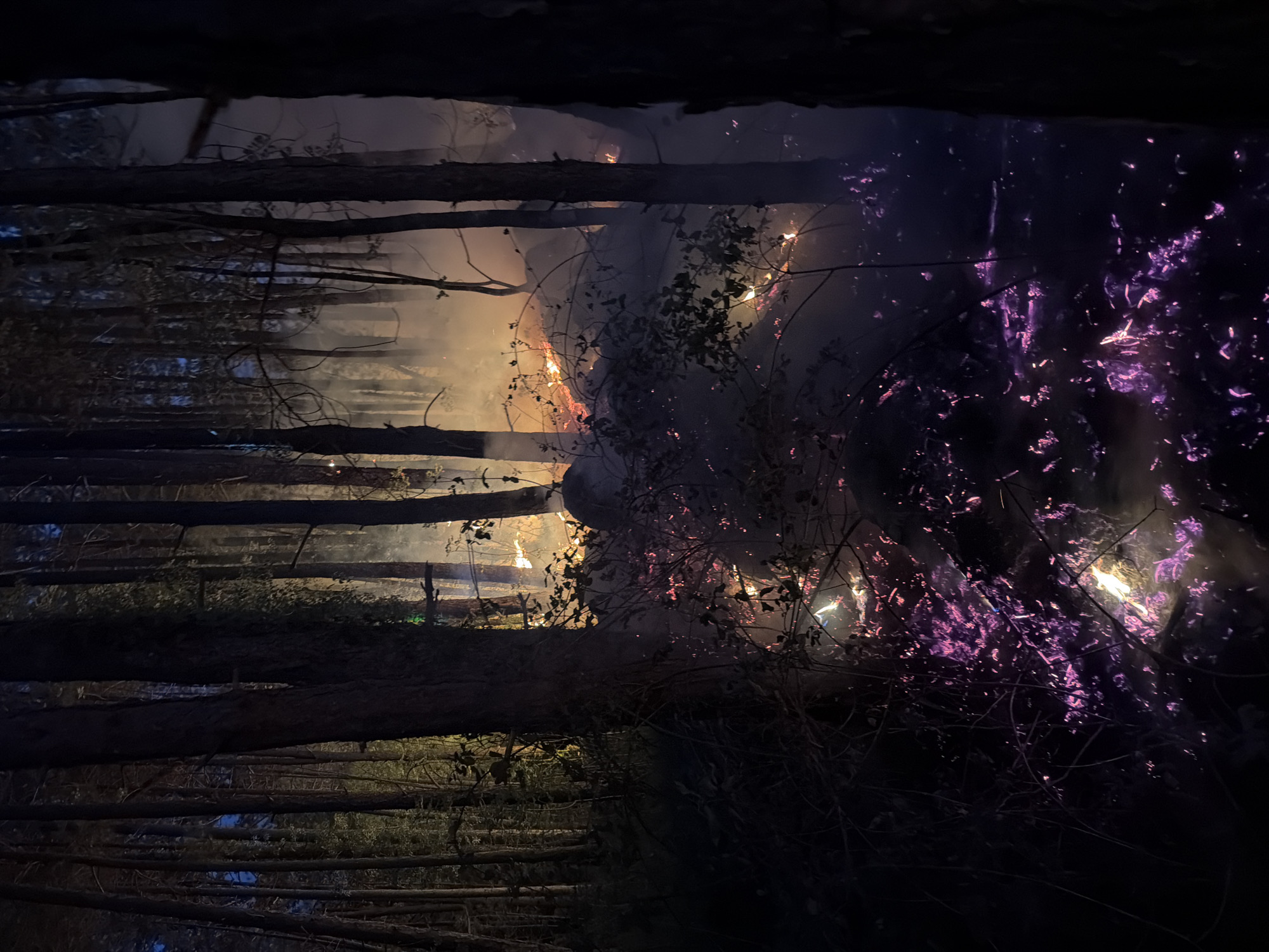 The image depicts a nighttime scene in a forest, likely in or around Gluhi Do, Montenegro, where a fire is burning. The foreground and middle ground are filled with dense trees, their trunks dark and silhouetted against the faint light. Smoke permeates the air, catching the glow of the flames. The ground is covered in debris, with patches of burning material casting an eerie purple and orange light. The flames are visible in the distance, appearing as bright orange and yellow flickers through the smoke and trees. The overall atmosphere is one of a forest fire at night, with limited visibility and the intense colors of the fire illuminating the dark environment.