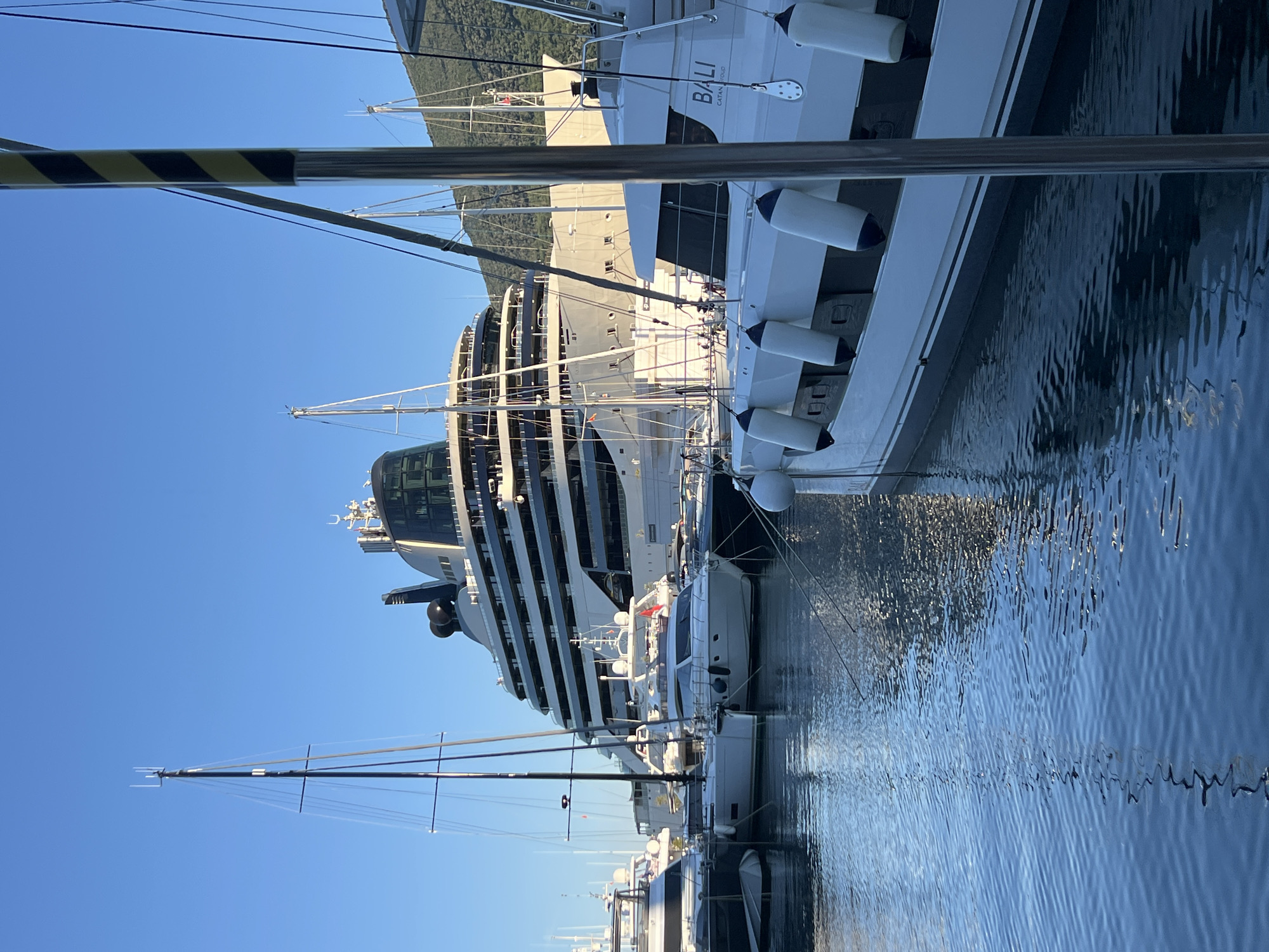 A wide-angle, eye-level, outdoor, vertical shot shows a serene marina scene with several yachts docked in the clear blue water of Herceg Novi, Montenegro, under a bright, cloudless sky. In the background, a massive, modern cruise ship with a distinctive, rounded, glass-fronted superstructure dominates the view. Several sailboats and motor yachts are moored in the foreground and midground, with their masts and rigging clearly visible. The water is calm, reflecting the boats and the sky. One of the yachts in the foreground has "BALI CATAMARAN GROUP" written on its hull. The overall atmosphere is tranquil and luxurious, indicative of a high-end nautical setting. There are no visible people or explicit actions depicted.