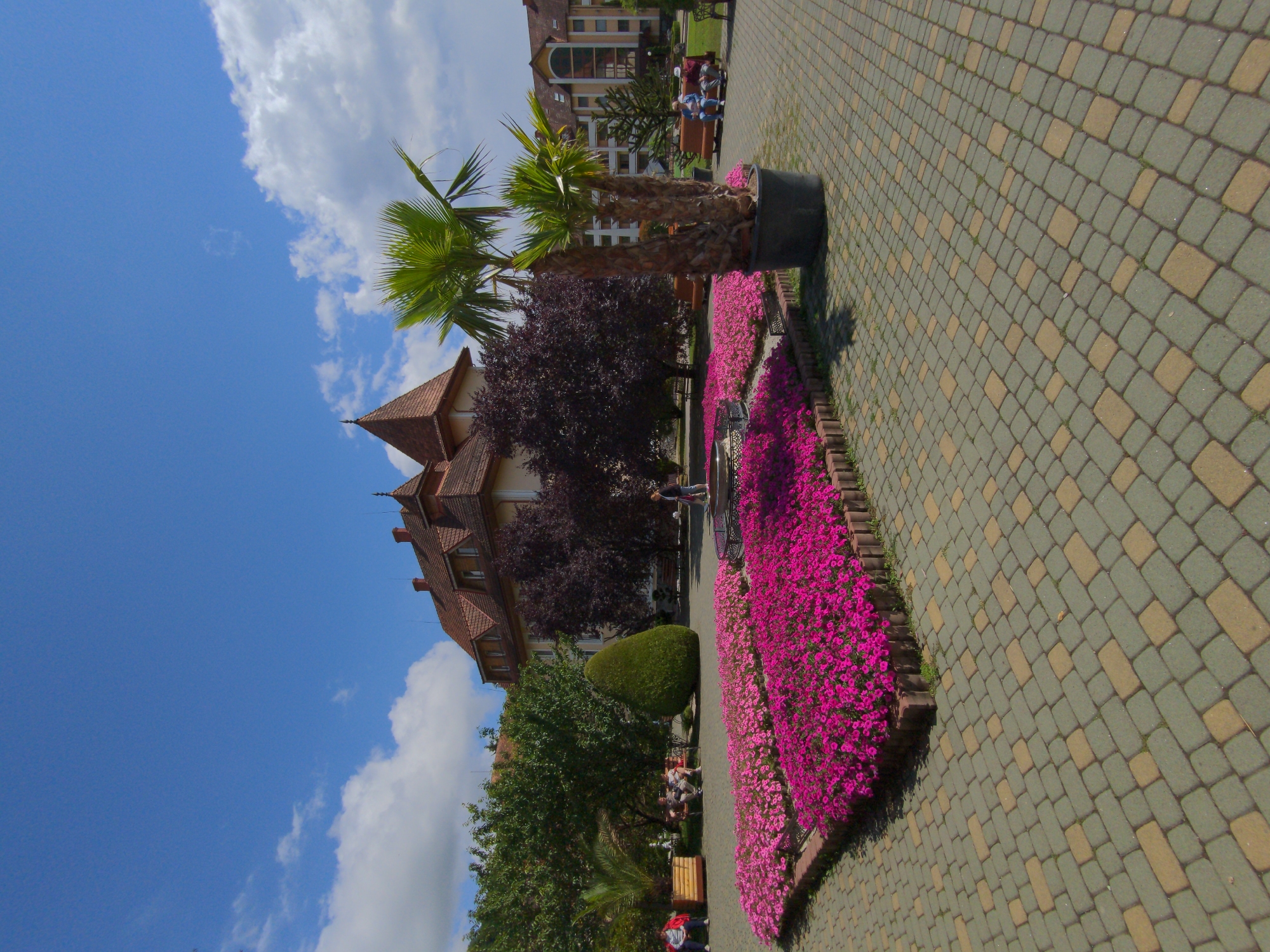 The image depicts a sunlit courtyard in Holubyne, Ukraine, featuring a vibrant flower bed in the foreground filled with pink and magenta flowers. Behind the flower bed, a large potted palm tree stands prominently. In the middle ground, a few people are seated on benches, and a woman is visible walking near a fountain. The background showcases a multi-story building with a red-tiled roof, lush green trees, and other buildings characteristic of the area. The sky is a bright blue with scattered white clouds, indicating fair weather. The paving stones of the courtyard are a mix of grey and yellow.