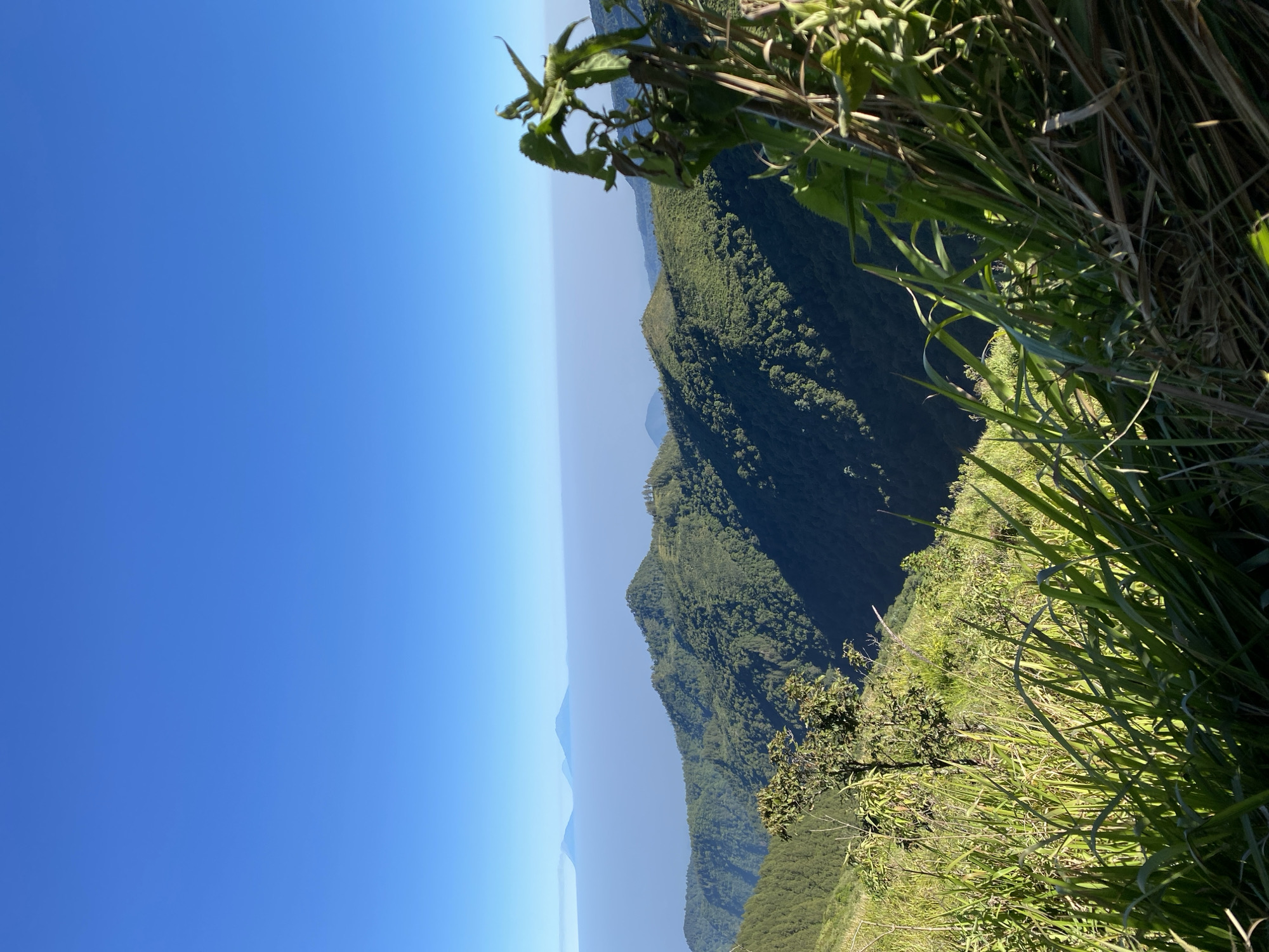 A wide, scenic view captures rolling green hills under a clear, bright blue sky. In the foreground, tall, vibrant green grass and foliage dominate, with a lone tree branch or a small bush partially obscuring the view. Sunlight casts shadows on the lush, forested slopes of the mountains in the mid-ground. In the distance, a hazy layer of mist or clouds sits above more distant, softer-hued mountain peaks. Three distinct, blue mountain silhouettes are visible on the far horizon, appearing to float above the haze. The image is a landscape shot, likely taken from a high vantage point, conveying a sense of natural beauty and vastness. The location is identified as Unknown, Indonesia.