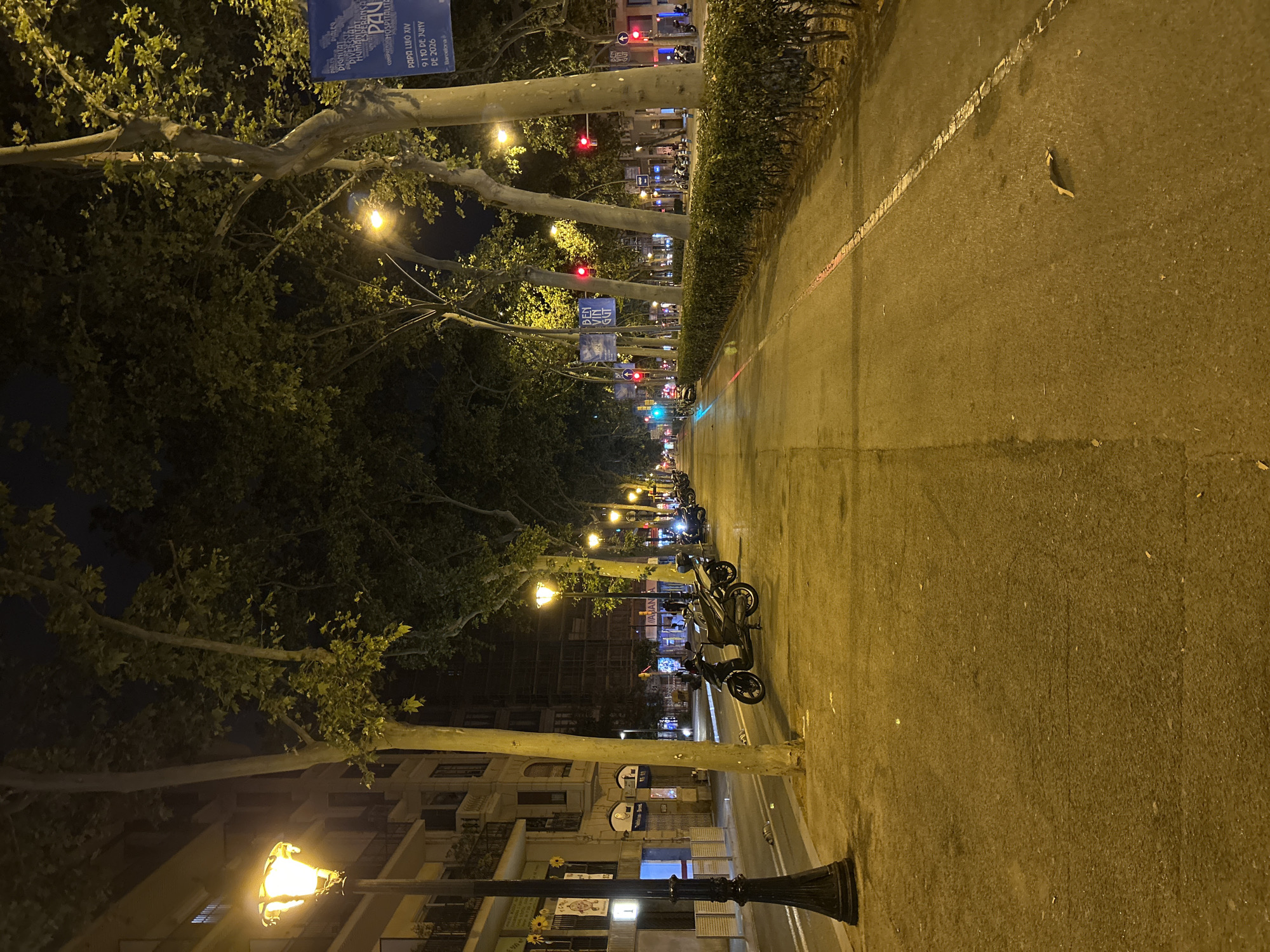 The image depicts a street scene at night in Barcelona, Spain, likely on a wide boulevard lined with trees. A prominent street lamp with a warm, yellow glow stands on the left side of the frame. In the foreground, the pavement is wet, reflecting the streetlights. Scooters are parked along the sidewalk. Across the street, more streetlights illuminate a line of dense, manicured hedges. Buildings are visible on the left, with illuminated windows and balconies. Banners with text in Catalan are displayed on trees and poles further down the street, one of which appears to advertise an event related to Pope John Paul XIV in 2026 in Barcelona. Traffic lights are visible in the distance, indicating an intersection. The overall impression is of a quiet, well-lit urban environment at night.