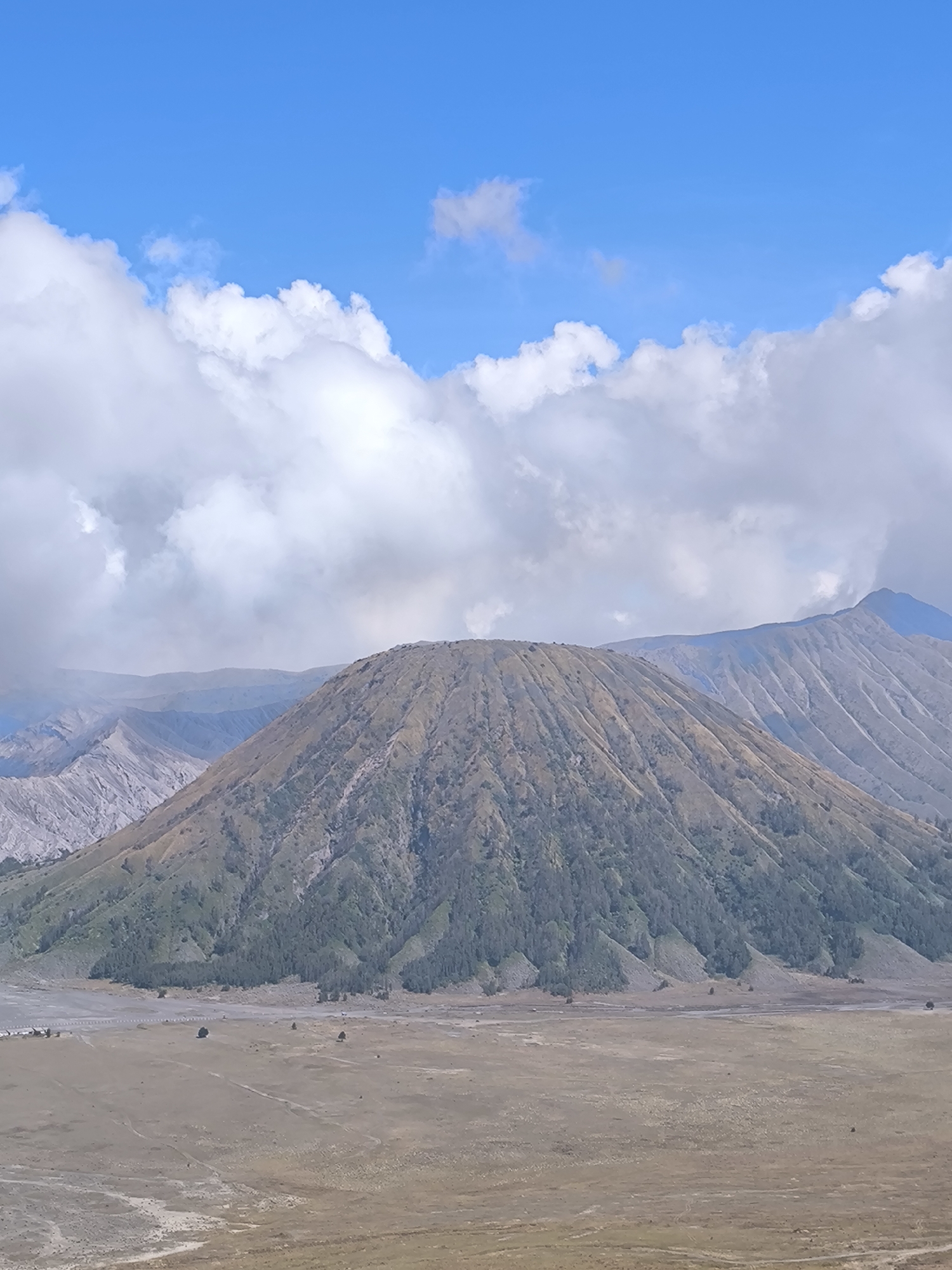 The image depicts a vast, rugged landscape dominated by volcanic mountains under a bright blue sky with fluffy white clouds. In the foreground, a wide, dry, sandy plain stretches out, dotted with sparse, low-lying vegetation and a few scattered trees. The texture of the ground suggests it might be an ash plain.
The central focus of the image is a large, cone-shaped mountain, its slopes covered in a mix of dry grass and patches of darker green vegetation, likely trees or shrubs. The mountain's summit is broad and appears somewhat flattened. To the right and behind this central peak, other mountainous formations rise, showing steep, eroded slopes etched with countless parallel lines, indicative of geological activity and weathering. These further peaks fade into a hazy, atmospheric distance.
The lighting suggests it is daytime, likely late morning or early afternoon, with the sun casting subtle shadows and highlighting the textures of the land. The weather appears to be clear, with the blue sky and bright clouds indicating good visibility. The overall scene conveys a sense of natural grandeur and the raw power of geological forces. The location cues, such as the volcanic terrain and the type of vegetation, are consistent with the Cemorolawang region in Indonesia, known for its dramatic volcanic landscapes. There is no visible text in the image. The scene evokes a feeling of awe and the immensity of nature.