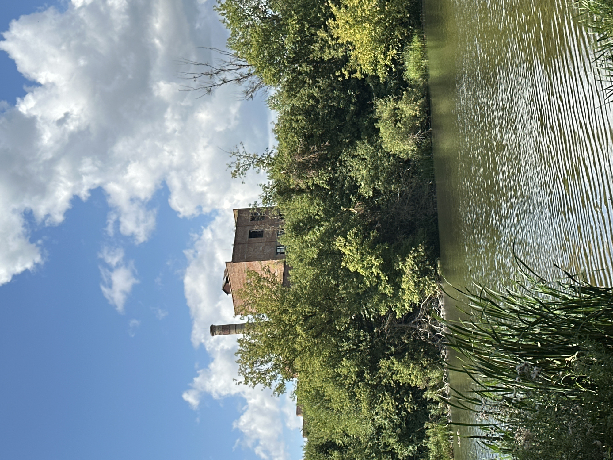 The image depicts a body of water in the foreground, likely a river or lake, with ripples on its surface. Tall green reeds and other vegetation line the bank. Behind the water, a dense green treeline rises, forming a natural barrier. Above the trees, a brick building with a tall chimney stack is visible. The building appears to be old and possibly industrial. The sky above is blue with scattered white clouds. The overall scene suggests a natural environment with some man-made structures in the distance. The location of Shatava, Ukraine, is mentioned, but this information cannot be visually verified from the image alone. There are no people or animals readily apparent in the frame.