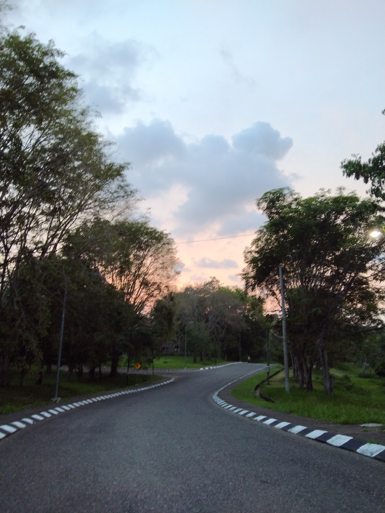 The image displays a serene outdoor scene featuring a winding asphalt road. The road gently curves from the foreground towards the distance, flanked on both sides by distinctive black and white striped curbs that mark its edges.
Abundant trees with dense green foliage line both sides of the road, creating a natural and lush corridor. The ground adjacent to the road is covered in green grass, particularly noticeable on the right as the road bends. Several utility poles or streetlights are visible among the trees; one light source on the far right is illuminated, casting a soft glow. A small, blurry yellow diamond-shaped sign with an indiscernible black symbol can be faintly seen in the distance on the right.
The sky above exhibits a soft gradient of light blue, interspersed with scattered grey clouds, and hints of soft orange and pink near the horizon. This coloration, along with the illuminated streetlight and the overall dim lighting, strongly suggests the time of day is either dusk or dawn. The scene appears quiet and tranquil, with no people or vehicles explicitly visible, contributing to a sense of solitude.
The setting evokes a peaceful environment, possibly within a park, a campus, or a less-trafficked road in Lhokseumawe, Indonesia. There is no visible text in the image.