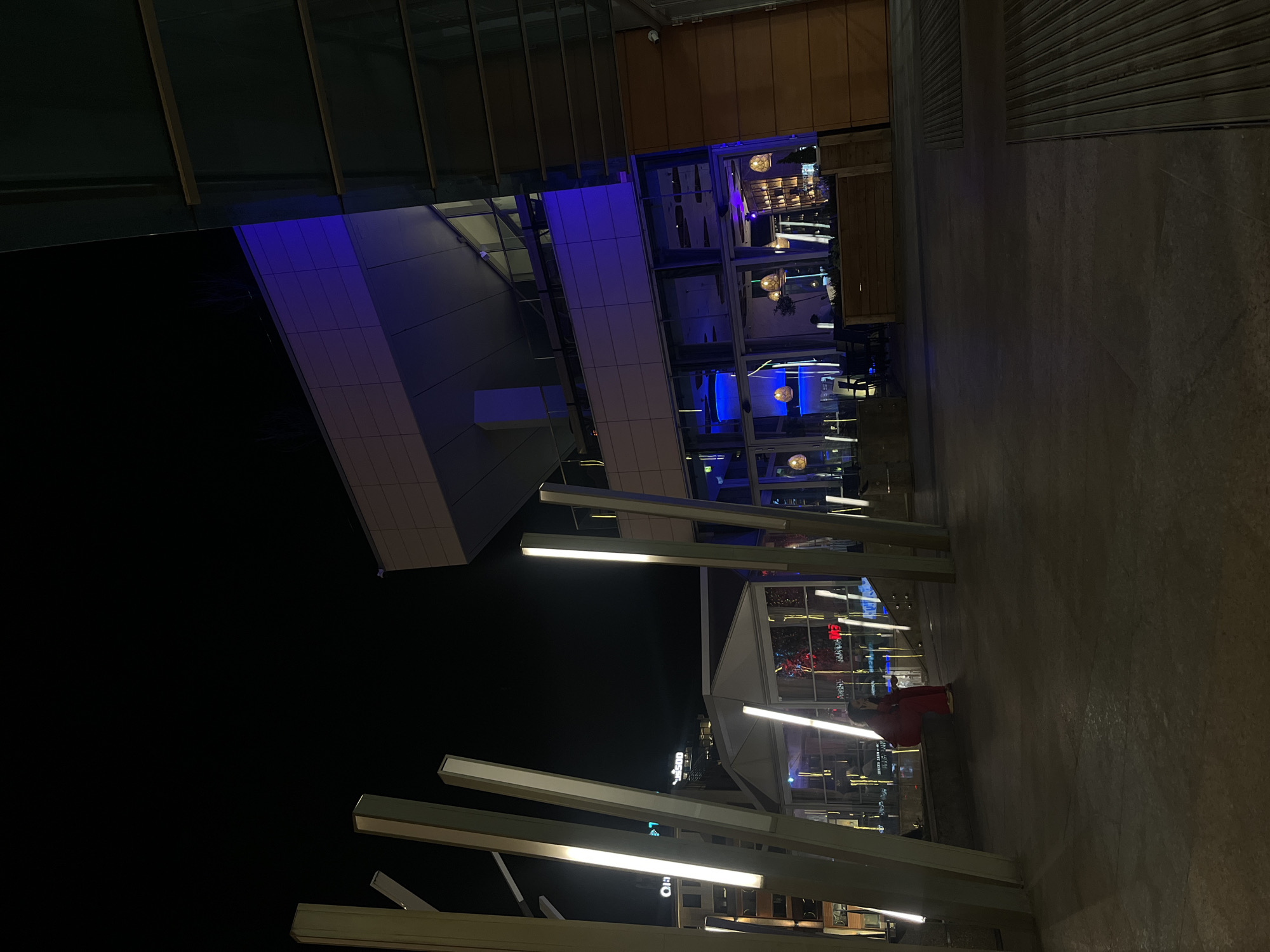 At night, the image captures a scene at the city center of Sofia, Bulgaria. The architecture exhibits modern design with glass and metal elements. A building is illuminated with blue light, and there are vertical light fixtures on the ground. A person wearing a red dress is present. The ground is paved. Other buildings are visible in the background.