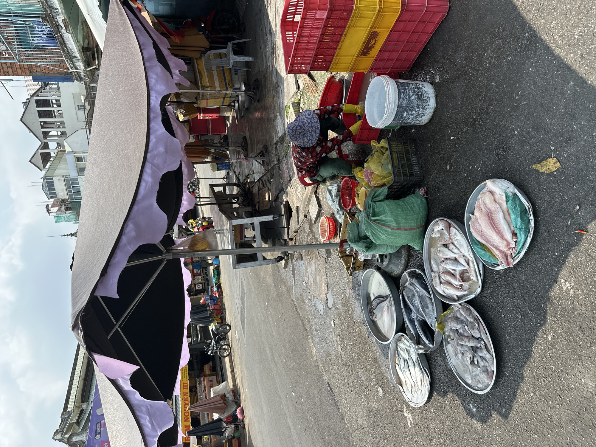 The image depicts a fish market scene in Ho Chi Minh City, Vietnam. A woman wearing a floral hat and red checkered shirt is situated among red and yellow plastic crates, bags, and buckets, presumably preparing or organizing fish. Several aluminum trays displaying various types of fish are arranged on the ground, adjacent to the woman. The scene takes place on an asphalt surface next to a road, under a large awning with purple trim. Buildings are visible in the background.