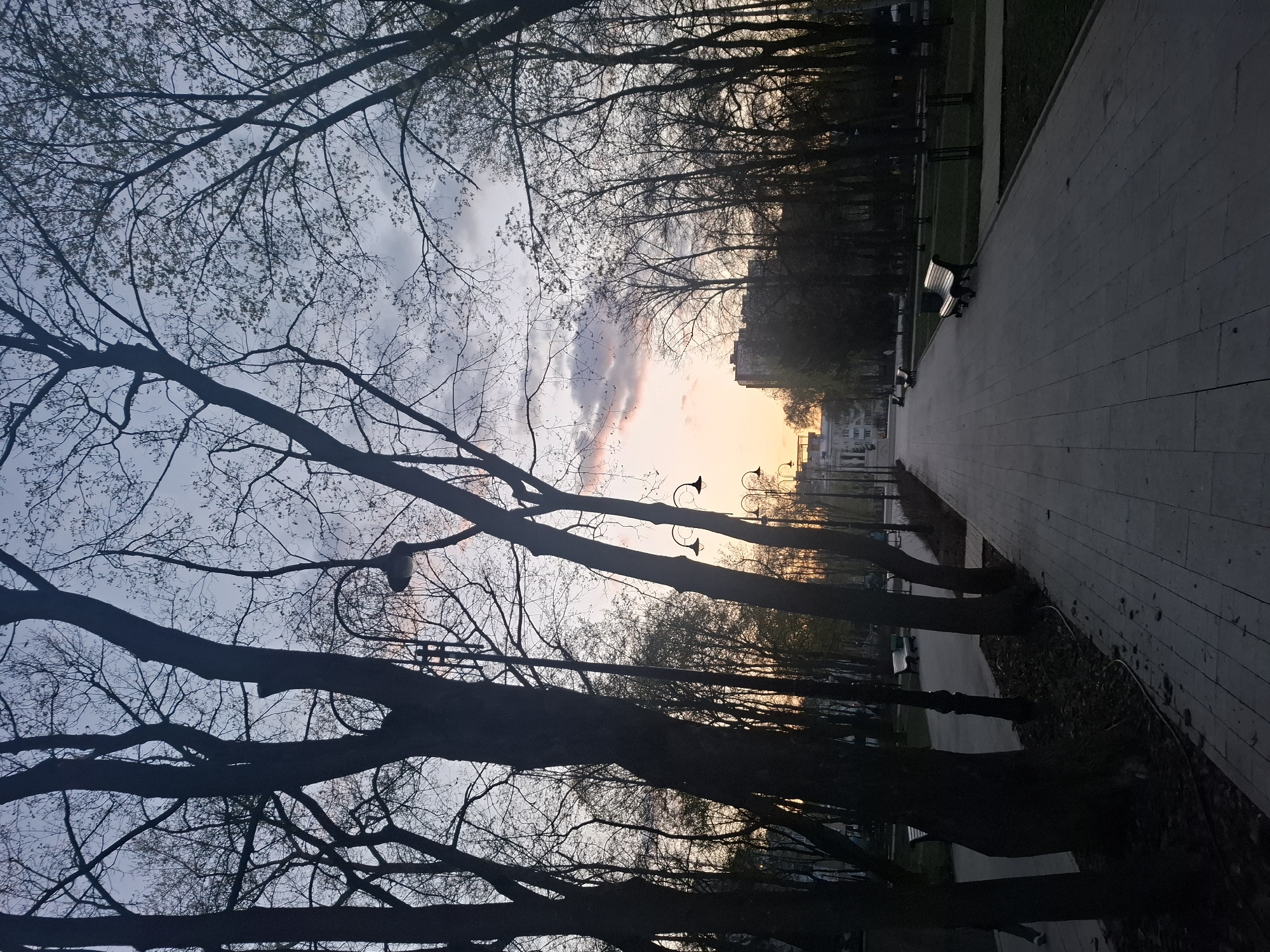 The image shows a park scene at sunset. Bare trees line a walkway on the right side of the frame, obscuring the view beyond. Streetlights are visible in the middle distance, and a building can be seen further down the path. A bench sits on the right side of the walkway. The sky is a mix of gray and orange as the sun sets. The location is a park in an unknown city.