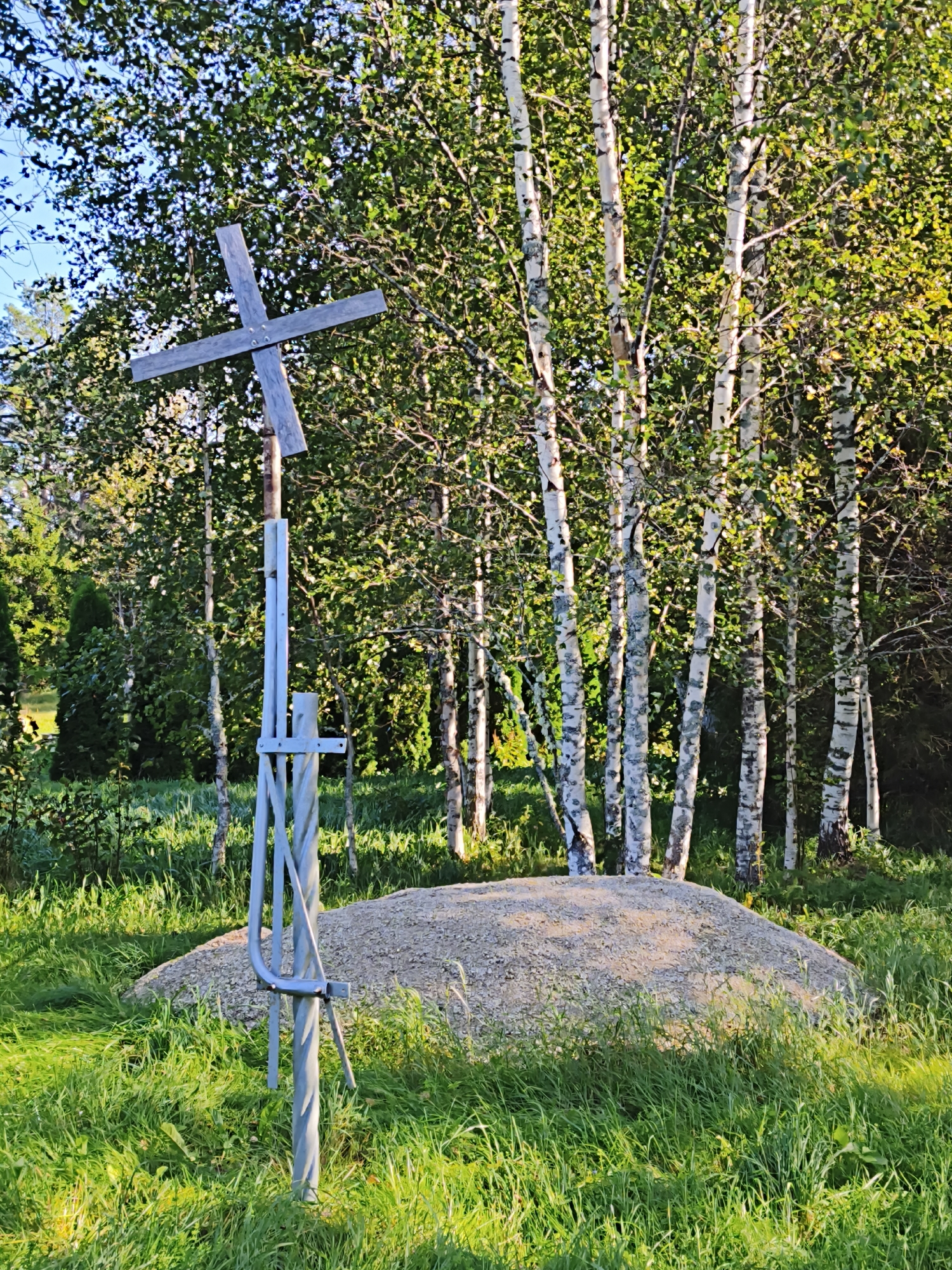 The image captures a religious monument consisting of a wooden cross on a metal pole, situated in a grassy area. The cross is weathered and appears to be made of dark wood. The metal pole is silver-colored and has a complex structure with some twisted metal elements and bracing. In front of the monument, there is a mound of light-colored gravel or sand. The background is dominated by a grove of birch trees with their characteristic white bark and green foliage, suggesting a natural or semi-natural environment. The lighting indicates it is daytime, with sunlight casting shadows and highlighting the textures of the trees and grass. The overall scene is peaceful and appears to be in a rural or suburban setting. There are no people or animals visible in the image. This monument is located in Pedase, Estonia.