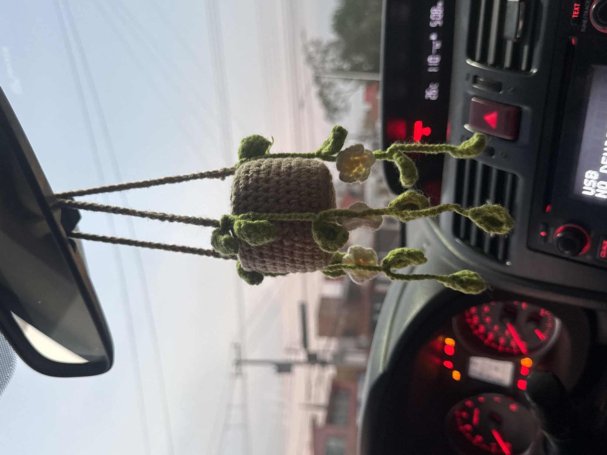 The image, taken from inside a car, shows a crocheted hanging plant with flowers dangling from the rearview mirror. The car's dashboard and speedometer are visible, indicating it is parked or stationary. Outside the windshield, a city street in Puebla, Mexico, is visible, including buildings and power lines, suggesting an urban setting. The sky appears overcast.