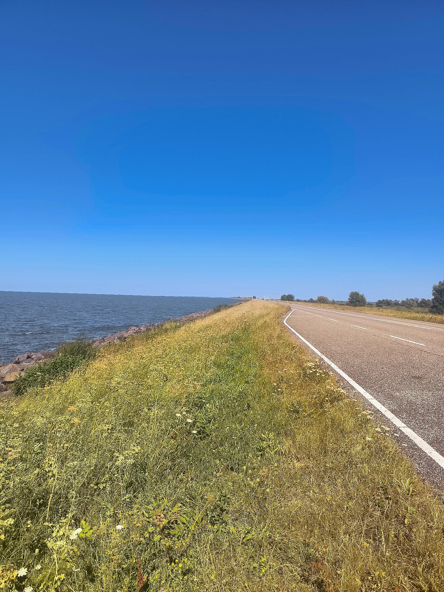 The image depicts a clear, bright day with a vibrant blue sky dominating the upper portion of the frame. A vast, calm body of water stretches across the left side of the image, its surface rippling slightly under the open sky. Along the shoreline, a rugged embankment is constructed of large, irregular stones, providing a naturalistic boundary between the water and the land.
Adjacent to the embankment, a wide expanse of lush, green grass and wildflowers flourishes, creating a vibrant, natural foreground. This verdant strip gradually transitions into dry, yellow-brown grasses as it approaches the right side of the image.
A paved road, marked with a white line down its center and on its right edge, curves gently into the distance, following the contour of the land. The road appears to be a two-lane thoroughfare. On the far right and in the distance, scattered trees and foliage suggest a natural landscape bordering the road. The overall impression is one of a serene, sun-drenched day in a coastal or lakeside environment.
This scene is characteristic of the Flevopolder region, specifically the dikes and coastal roads surrounding the man-made lakes and polders of Almere, Netherlands. The road likely follows a dike built to reclaim land from the sea or create a larger body of water.