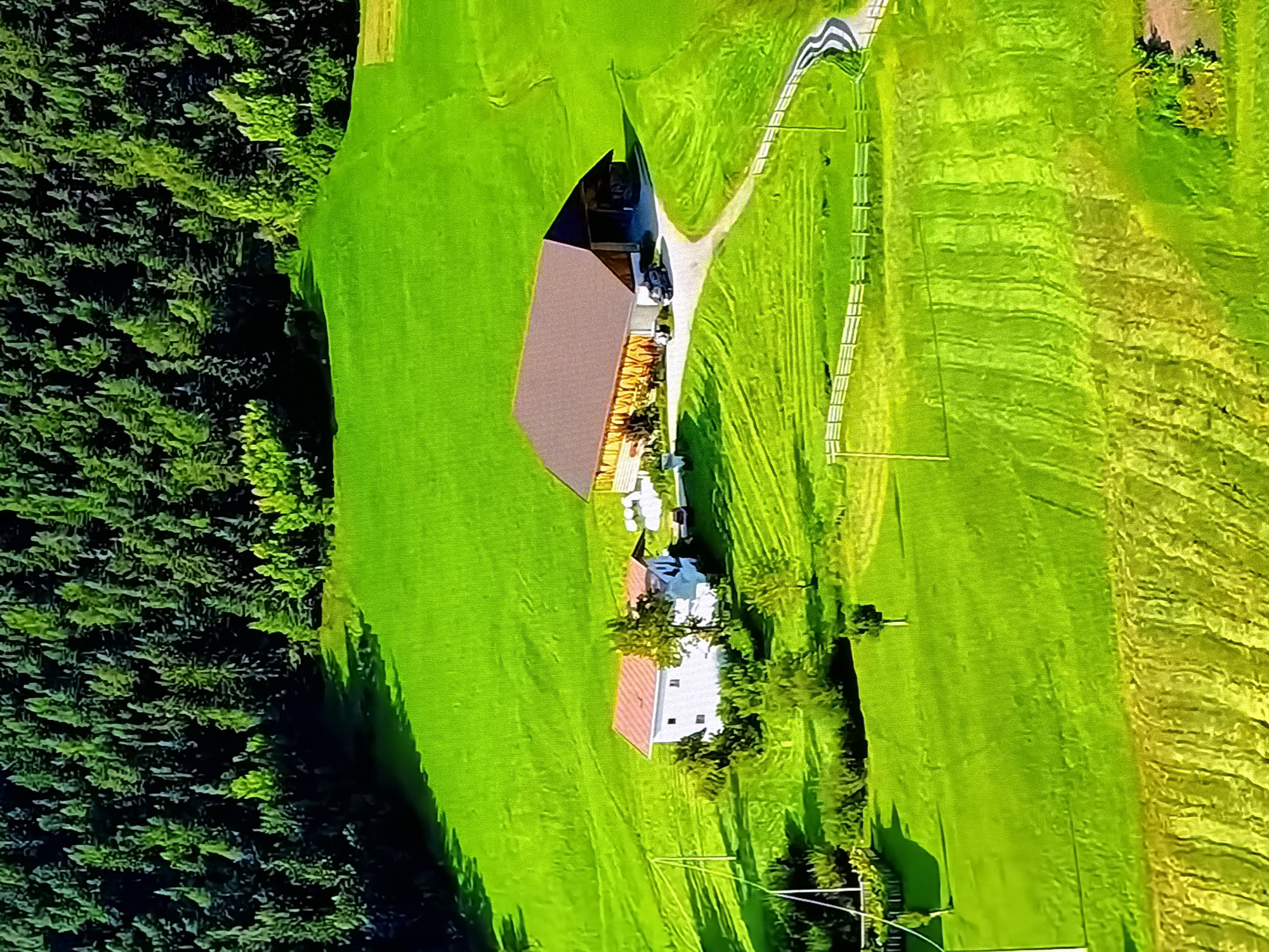 An aerial view captures a picturesque rural landscape. Rolling green fields, with some showing tractor tracks, dominate the foreground and midground. In the midground, a cluster of buildings includes a large, modern barn with a brown roof and a smaller white house with a red roof. Several vehicles, including two cars and a small trailer, are parked near the barn. A winding paved road leads from the barn, bordered by a white wooden fence. The background is densely populated by a dark green forest of coniferous trees. The overall impression is one of a peaceful, well-maintained rural setting. The scene is not located in Chirchik, Uzbekistan.