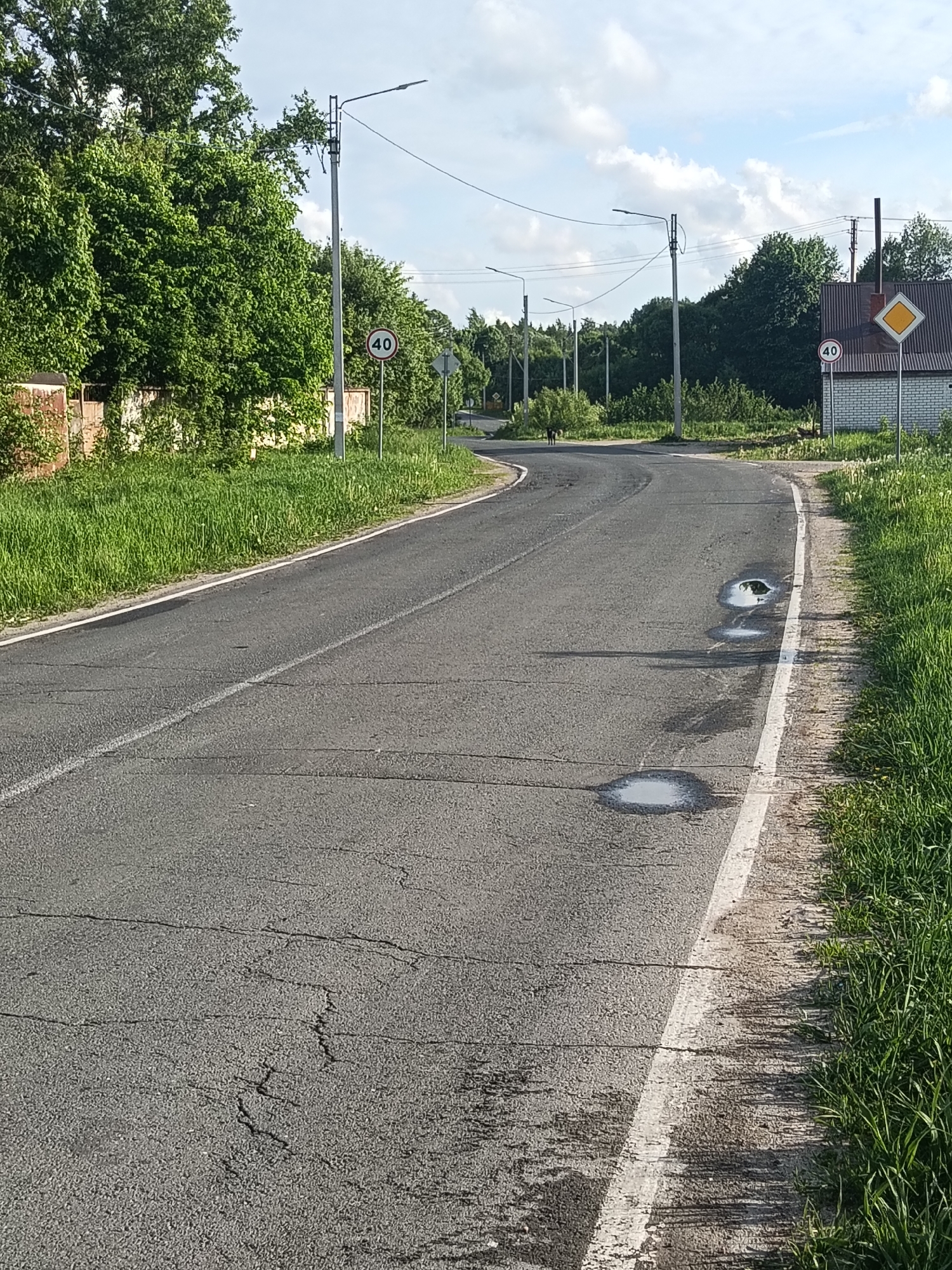 The image depicts a paved road curving through a residential area in Красный Маяк, Russia. The road surface is asphalt and shows some cracking and small puddles. A solid white line marks the edge of the road, separating it from the grassy verge. On either side of the road are grass and vegetation, including trees and a brick wall on the left. Signage visible includes speed limit signs (40 km/h) and a 'priority road' sign. Overhead power lines run alongside the road. There is a dog in the distance at the bend. There is a building with a gabled roof.