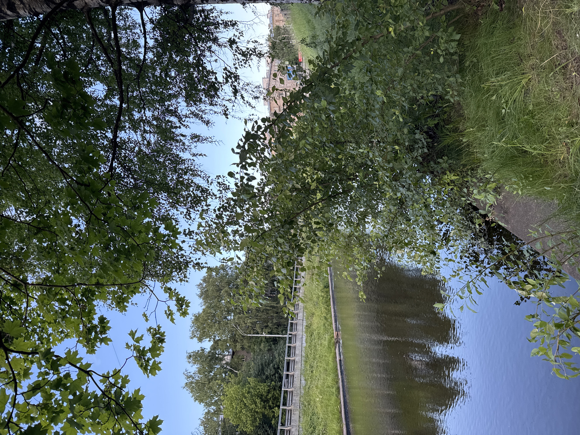 A calm canal runs through a green urban area in Saint Petersburg, Russia. Trees with lush green leaves overhang the water, casting reflections on its surface. On the opposite bank, a concrete barrier with metal railings separates the canal from a grassy incline. Beyond the incline, several multi-story buildings are visible, suggesting a residential or commercial district. The sky is a clear, pale blue. The scene depicts a serene natural setting within a developed city.