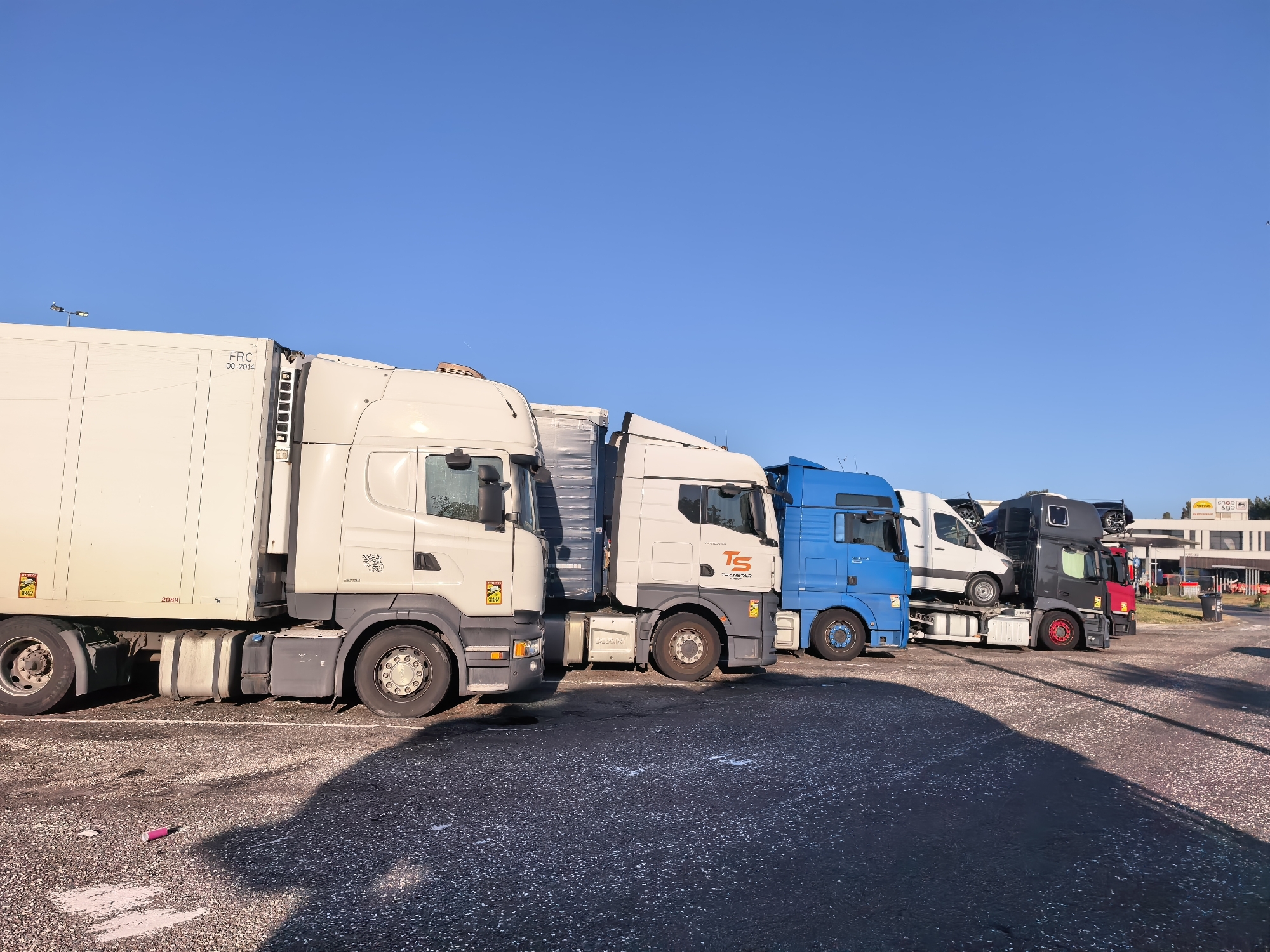 The image displays a row of parked trucks under a clear blue sky, likely at a truck stop or parking lot in Wommelgem, Belgium. The trucks are of various makes and models, including a white refrigerated truck, a white and grey truck with "TS TRANSTAR" branding, a blue truck, and a dark grey truck carrying other vehicles. The ground is asphalt, with some gravel and white markings. In the foreground, a pink object is lying on the ground, possibly a piece of trash. In the background, a "Shop & Go" convenience store and other buildings are visible, suggesting a commercial area. The lighting indicates it is either early morning or late afternoon, with long shadows cast on the ground. There are no people visible in the image.