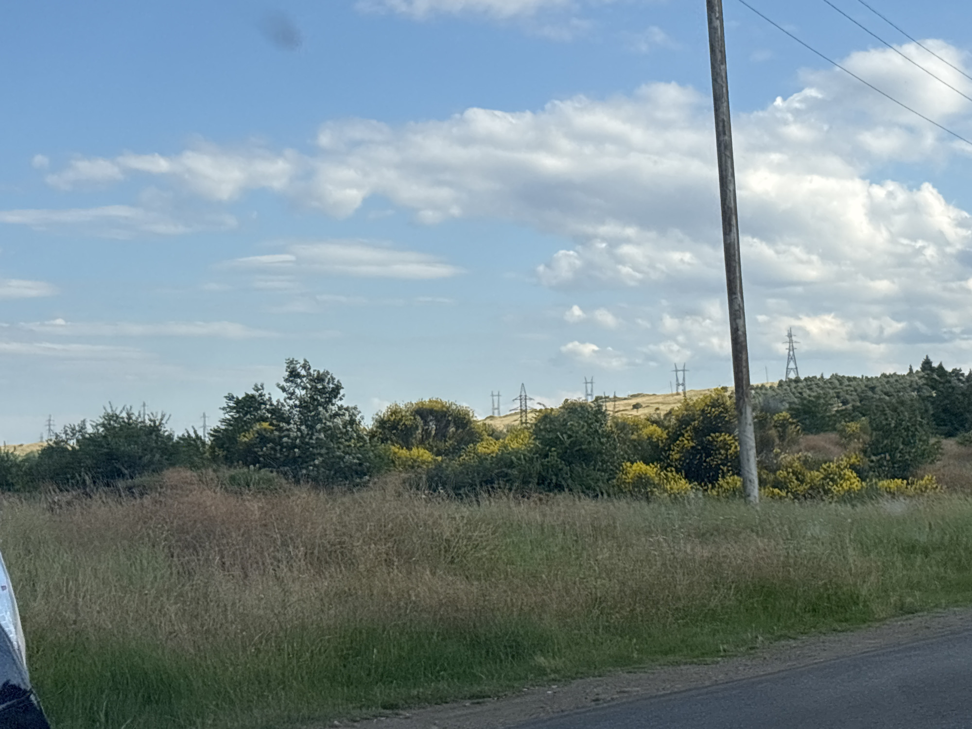 A wide-angle, eye-level shot captures a rural landscape on a partly cloudy day. The foreground is dominated by a roadside with a grey asphalt surface, leading into a field of tall, dry grasses and some green vegetation. A dark, out-of-focus object, possibly a car, is partially visible on the left edge of the frame.
In the midground, a dense line of trees and shrubs forms a natural barrier. Some of these trees are dark green, while others are interspersed with vibrant yellow flowering bushes, adding a splash of color to the scene. The trees and bushes are varied in height and density, creating a textured line across the horizon.
Beyond the greenery, rolling hills rise in the distance. These hills are covered with sparse vegetation and several tall, lattice-like electricity pylons, indicating the presence of power lines traversing the landscape. The pylons are spaced out, some standing singly and others in pairs, against the pale blue sky.
The sky is a mix of blue and white, with scattered, fluffy cumulus clouds. A few wispy clouds are also present, suggesting fair weather but with a possibility of passing showers. The overall lighting indicates it is daytime, likely late morning or early afternoon, given the brightness and clear shadows. There are no visible people, text, or specific landmarks that would pinpoint an exact location within Tbilisi, Georgia, but the scene conveys a sense of open, undeveloped land on the outskirts of a city. The mood is peaceful and serene, typical of a rural or semi-rural environment.