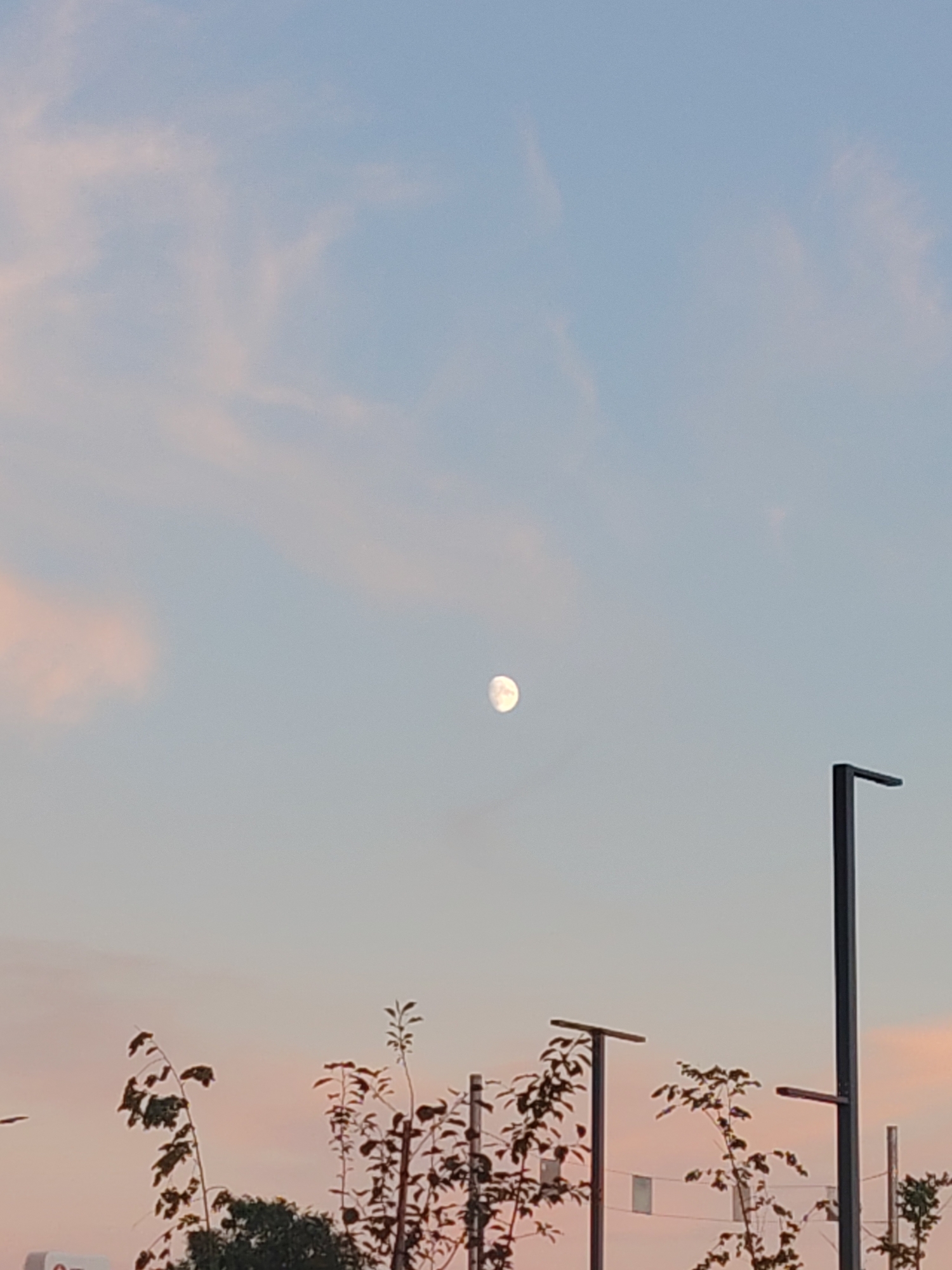 The image shows a dusky sky with pastel pink and blue clouds. A partially illuminated moon is visible in the upper center of the frame. In the foreground, silhouetted trees and a lamppost are present. The lamppost is tall and dark, with a distinct L-shaped top. The overall scene suggests an outdoor setting at dusk or dawn.