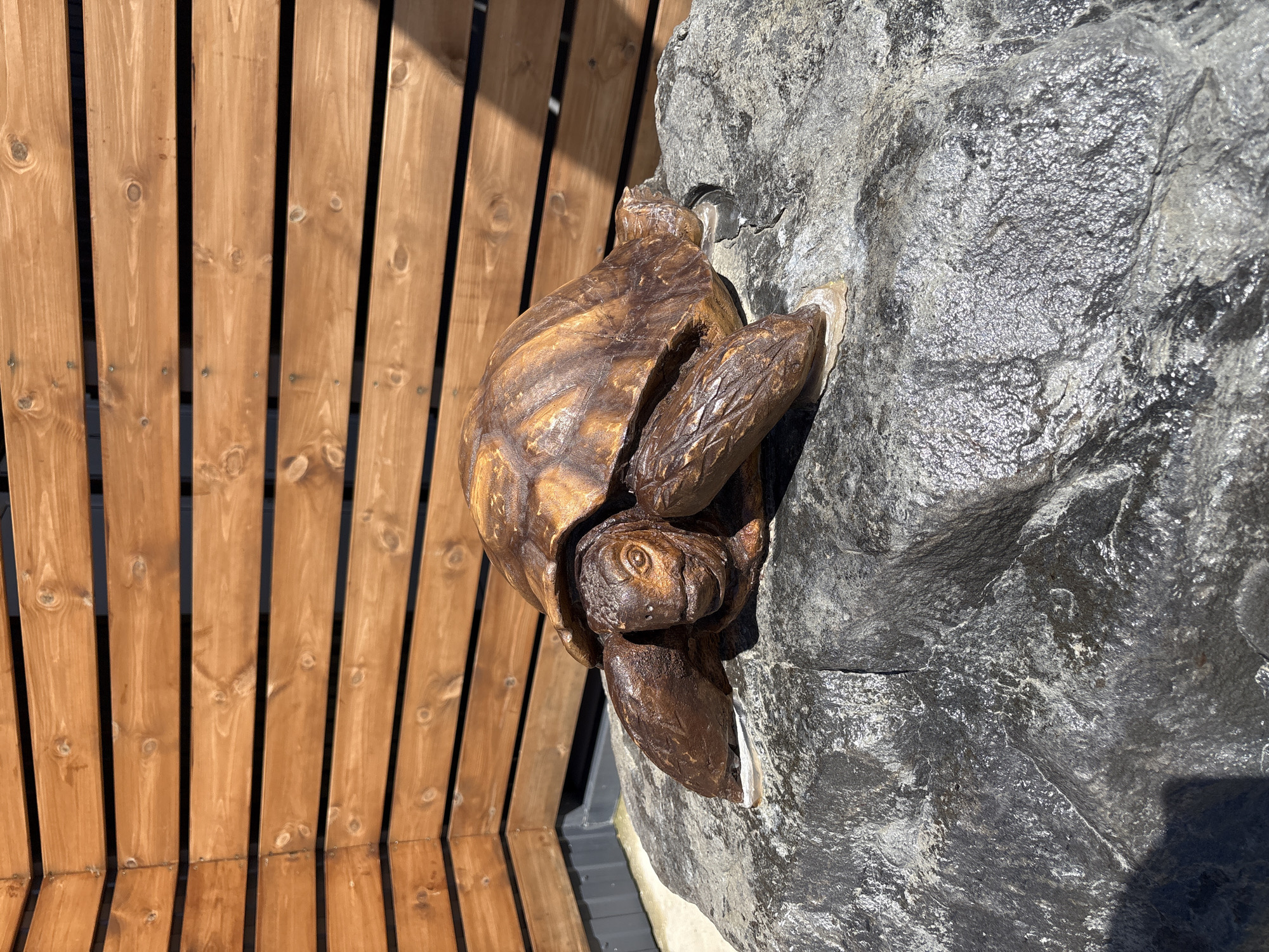 A detailed, brown turtle sculpture is prominently featured, appearing to climb down a large, textured dark grey rock or stone surface. The sculpture, likely made of wood or a wood-like material, has a realistic, carved appearance, showing the distinct patterns of a turtle's shell and textured skin on its head and limbs. The rock surface is uneven and appears wet or glistening from direct sunlight, creating bright highlights.
To the left of the sculpture and rock, a wooden fence or wall serves as the background. It is constructed from vertical, light brown wooden planks, featuring natural wood grain and knots. Narrow, dark spaces separate the planks, and small metal fasteners are visible on some. The strong lighting, characterized by bright highlights and defined shadows on both the rock and the wooden planks, indicates a clear, sunny daytime environment. This scene is an outdoor installation, potentially in a garden, park, or resort area within Sukko, Russia. No text is visible in the image.