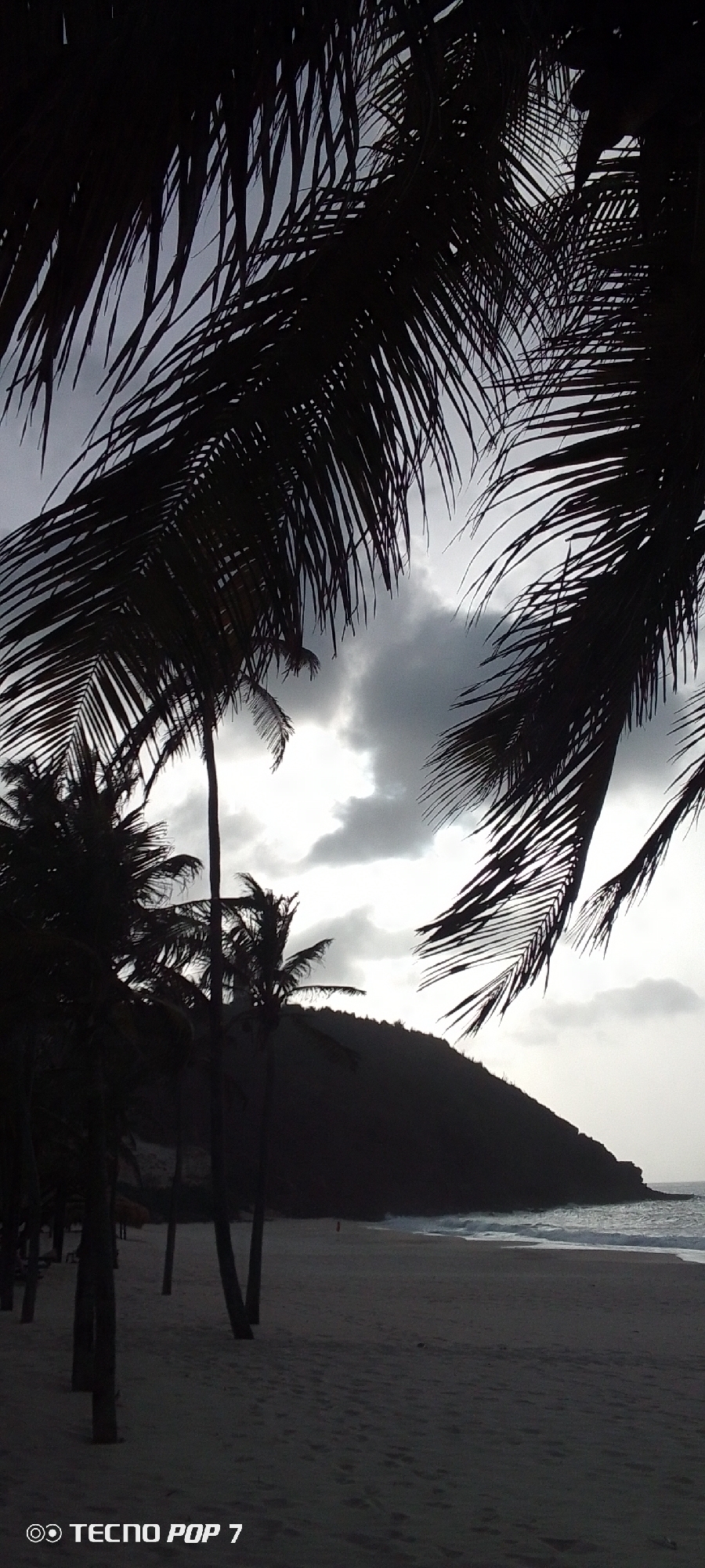 The image depicts a beach scene in Pedro González, Venezuela, characterized by a muted color palette due to the overcast sky. In the foreground, silhouettes of palm trees frame the view. The trunks of these trees are visible, leading to their fronds that dominate the upper part of the frame. The sandy beach stretches into the middle ground, where waves break along the shoreline. A dark, silhouetted hill or small mountain rises in the background, obscuring most of the horizon. Clouds fill the sky, creating a diffused light. A "TECNO POP 7" watermark is visible in the lower left corner of the image.