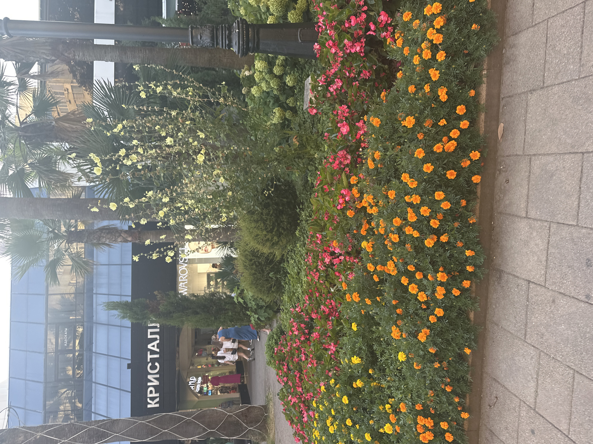 The image depicts a street scene in Sochi, Russia, with a focus on a vibrant flower bed bordering a paved walkway. In the foreground, a profusion of orange marigolds and pink begonias creates a colorful display. Behind the flowers, several people are walking along the sidewalk in front of a modern building with a dark facade bearing the white Cyrillic lettering "КРИСТАЛЛ" and "SWAROVSKI". Palm trees are visible throughout the scene, suggesting a warm climate. A black lamppost stands to the right of the frame. The overall impression is of a well-maintained urban environment with a lush floral landscape.
