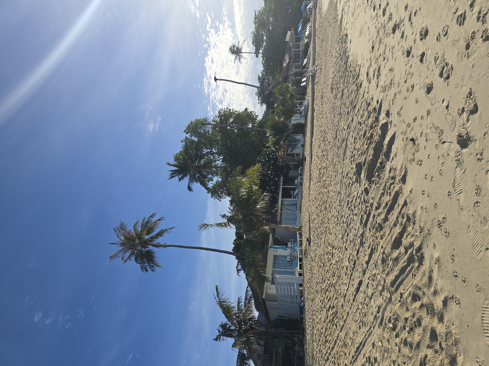 This media file depicts a tropical beach scene on a bright, sunny day. The perspective is from the sandy beach, looking towards a line of palm trees and resort buildings. The sand is a light beige color and shows numerous footprints and paw prints, suggesting recent activity. The ocean is not visible, but the clear blue sky with scattered white clouds indicates fair weather.
In the background, several palm trees with their characteristic fronds are prominent, some leaning over the sand. Behind the trees, there are low-rise resort buildings, appearing to be bungalows or villas, with white walls and blue accents. Some of these buildings have thatched roofs. Beach chairs are visible in front of some of the structures.
The sun is high in the sky, casting shadows and creating a lens flare effect on the left side of the image. The overall impression is one of a tranquil and sunny day at a beachside resort, likely in a warm, tropical climate. There are no people clearly visible in the frame, and no discernible text. The scene evokes a sense of relaxation and vacation.