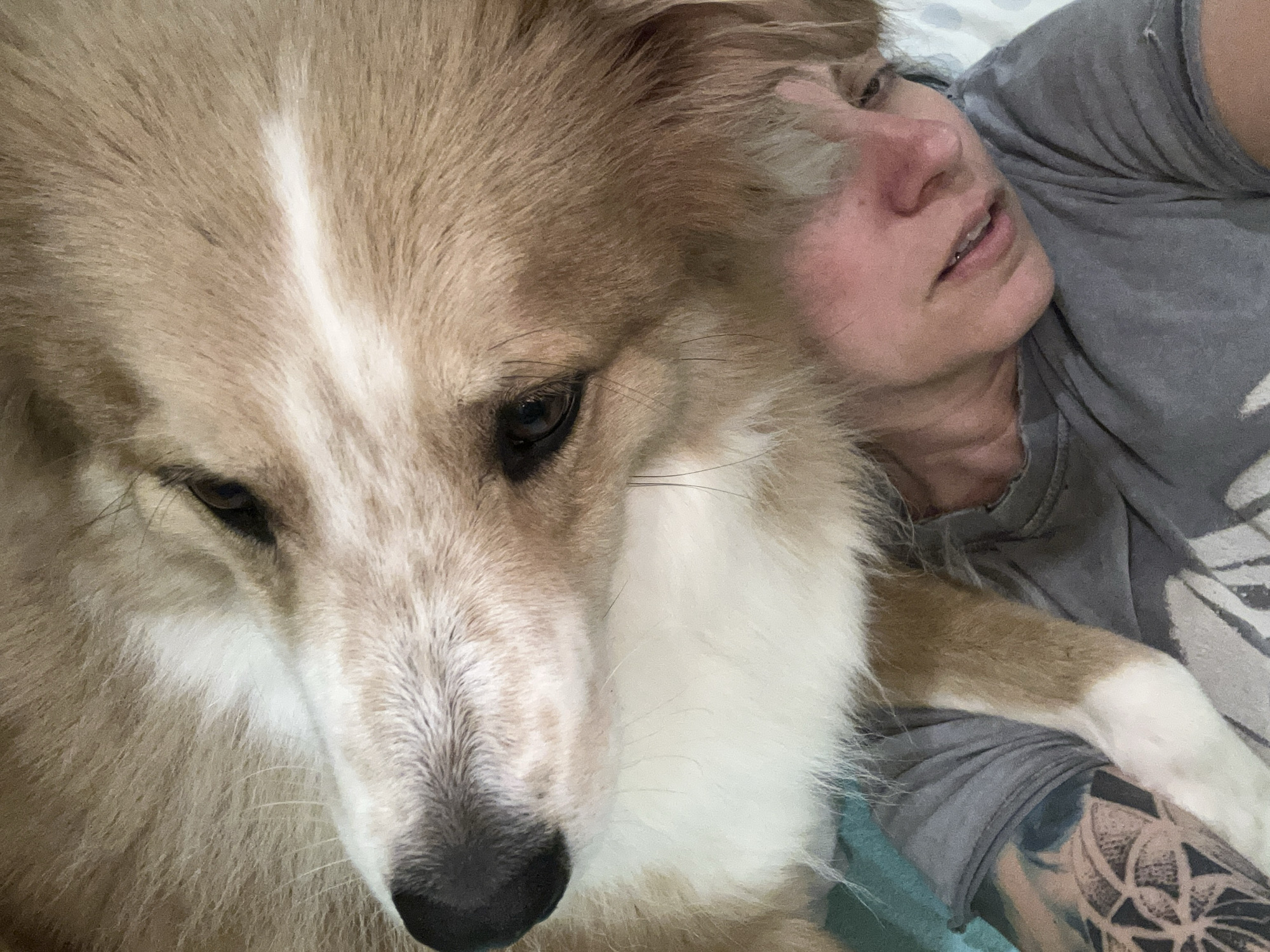 A close-up, eye-level shot shows a light-skinned person and a dog, seemingly lying down. The dog, a medium-sized breed with light brown and white fur, dominates the left side of the frame, its head close to the camera. Its dark eyes appear focused downwards. A white stripe runs down the center of its forehead. To the right, a person with fair skin and light-colored hair rests their head on a patterned pillow or sheet. The person is wearing a gray t-shirt. Part of the person's arm, adorned with a complex, dark tattoo, is visible. The scene is indoors, likely in a bedroom. There is no information in the photograph that can confirm the location in Sofia, Bulgaria.