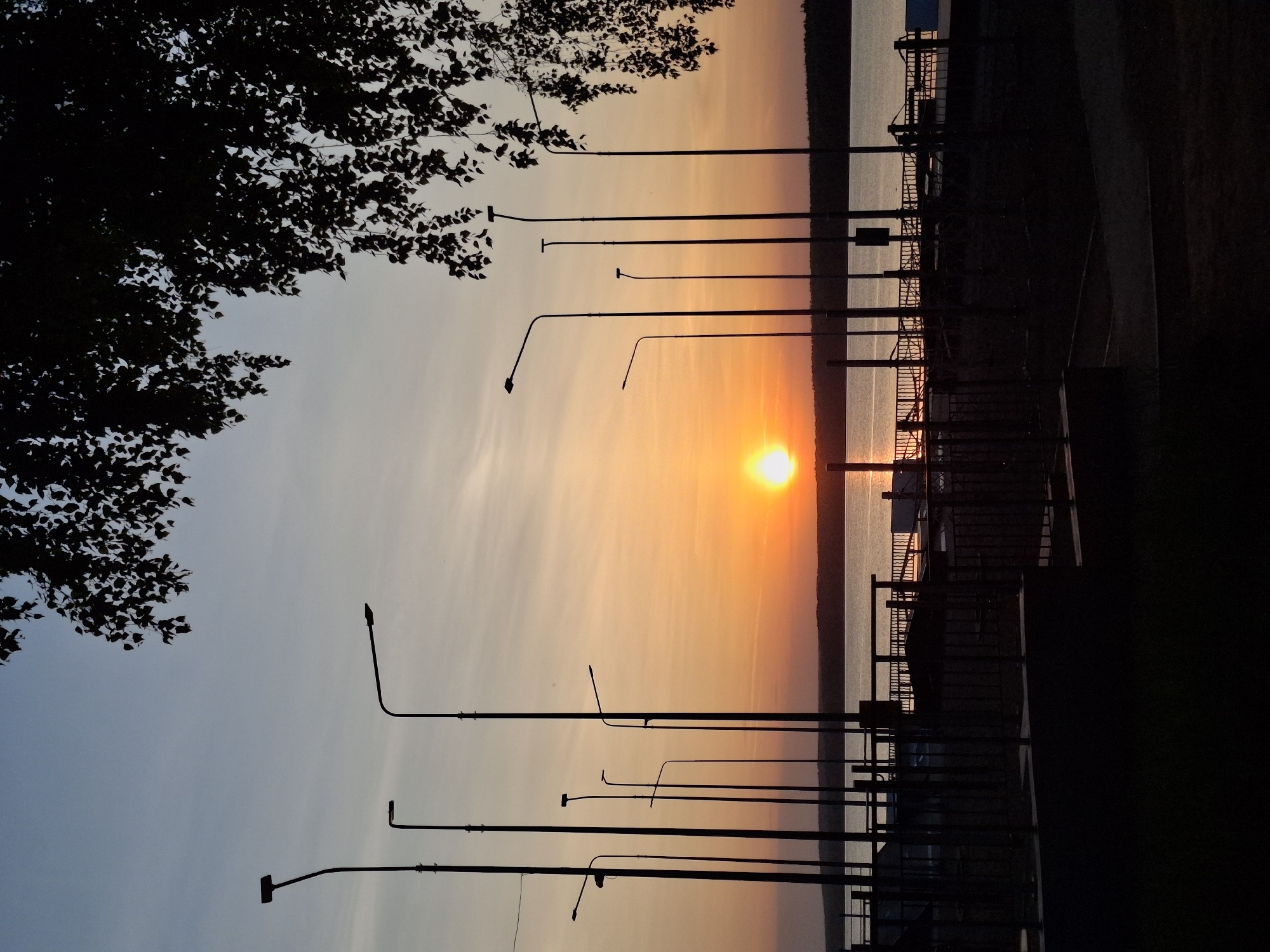 The image captures a sunset over the Kama Reservoir in the city of Chaikovsky, Perm Krai, Russia. The sun is positioned near the horizon, casting an orange and yellow glow across the sky and reflecting on the water's surface. The shoreline is visible in the background. Several tall streetlights stand along the foreground, their silhouettes contrasting against the colorful sky. A tree with dark foliage is present on the left side of the frame. A metal fence runs along the right side of the image. There are no people visible in the frame.