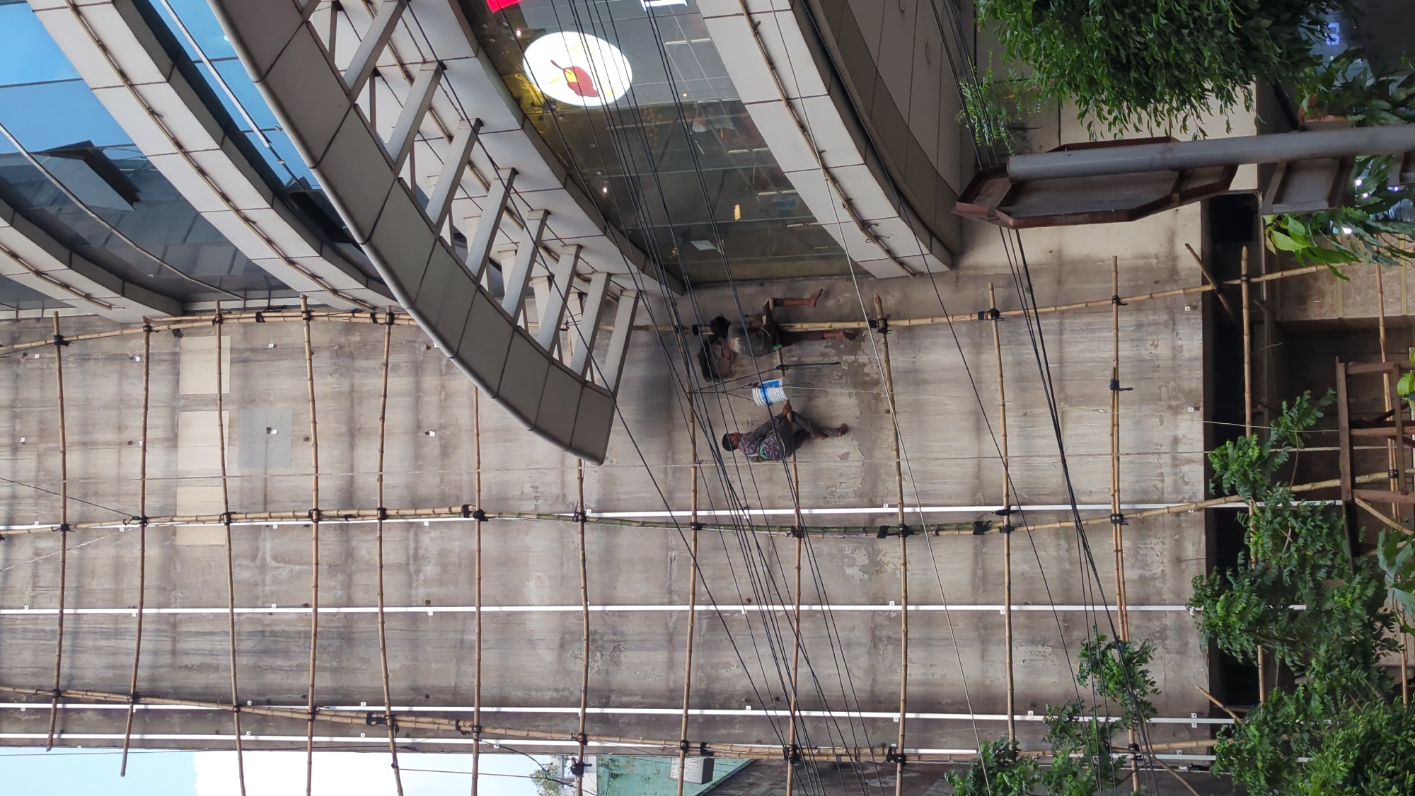 The image depicts two men working on a bamboo scaffold erected against a concrete wall, likely as part of construction or maintenance. The men are positioned on different levels of the scaffold, one with a bucket and the other with equipment. The scaffold is constructed using bamboo poles and secured with black ties. The wall itself is large and appears to be part of a building, with a metal and glass structure extending from it. Wires run vertically in front of the wall, partially obscuring the view. On the right side of the frame, foliage is visible, suggesting an urban environment. Based on architectural style and construction methods, the location is likely in Dhaka, Bangladesh.