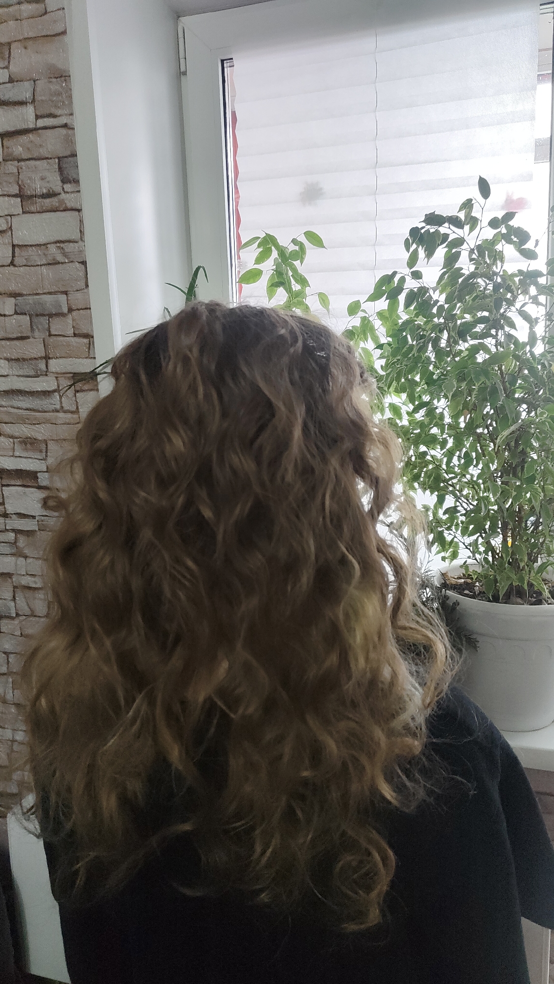 The image shows the back of a person with long, wavy, brown hair. The person is wearing a dark-colored top or sweater. In the background is a window with white blinds partially drawn. There are two potted plants visible on the windowsill, one with green leaves and the other with variegated green and white leaves. To the left of the window, there is a wall covered with a brick-like pattern. The image was taken indoors. The location is speculated to be Krasnoyarsk, Russia. No other information is available.