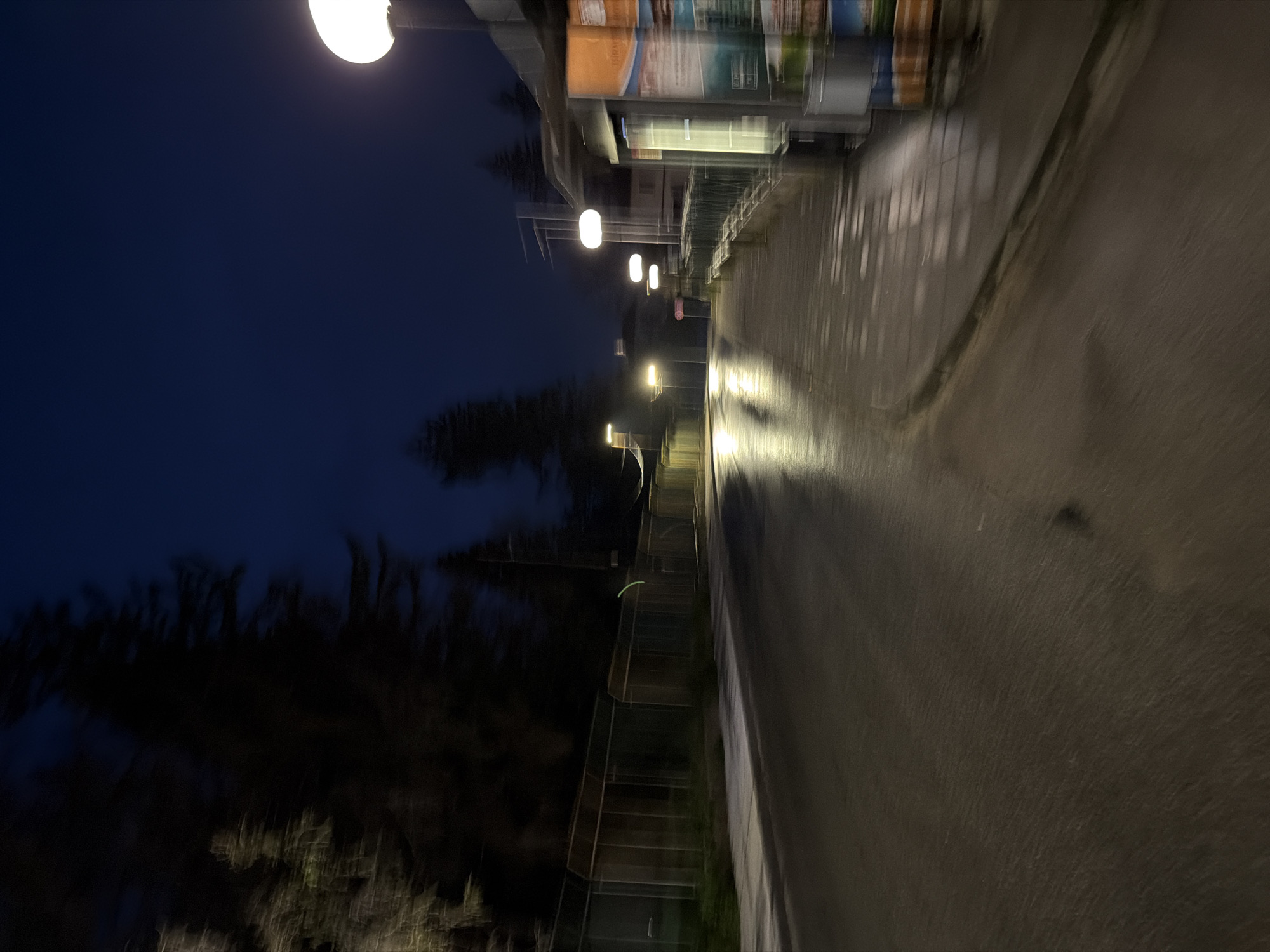 The image depicts a blurry, nighttime street scene in Panagyurishte, Bulgaria. Streetlights illuminate a sidewalk adjacent to a road, both appearing wet. To the left of the sidewalk, there's a steep staircase leading downwards, partially obscured by dark trees. The sky is a deep blue. Buildings line the top of the image. The scene suggests a quiet, urban environment at night.