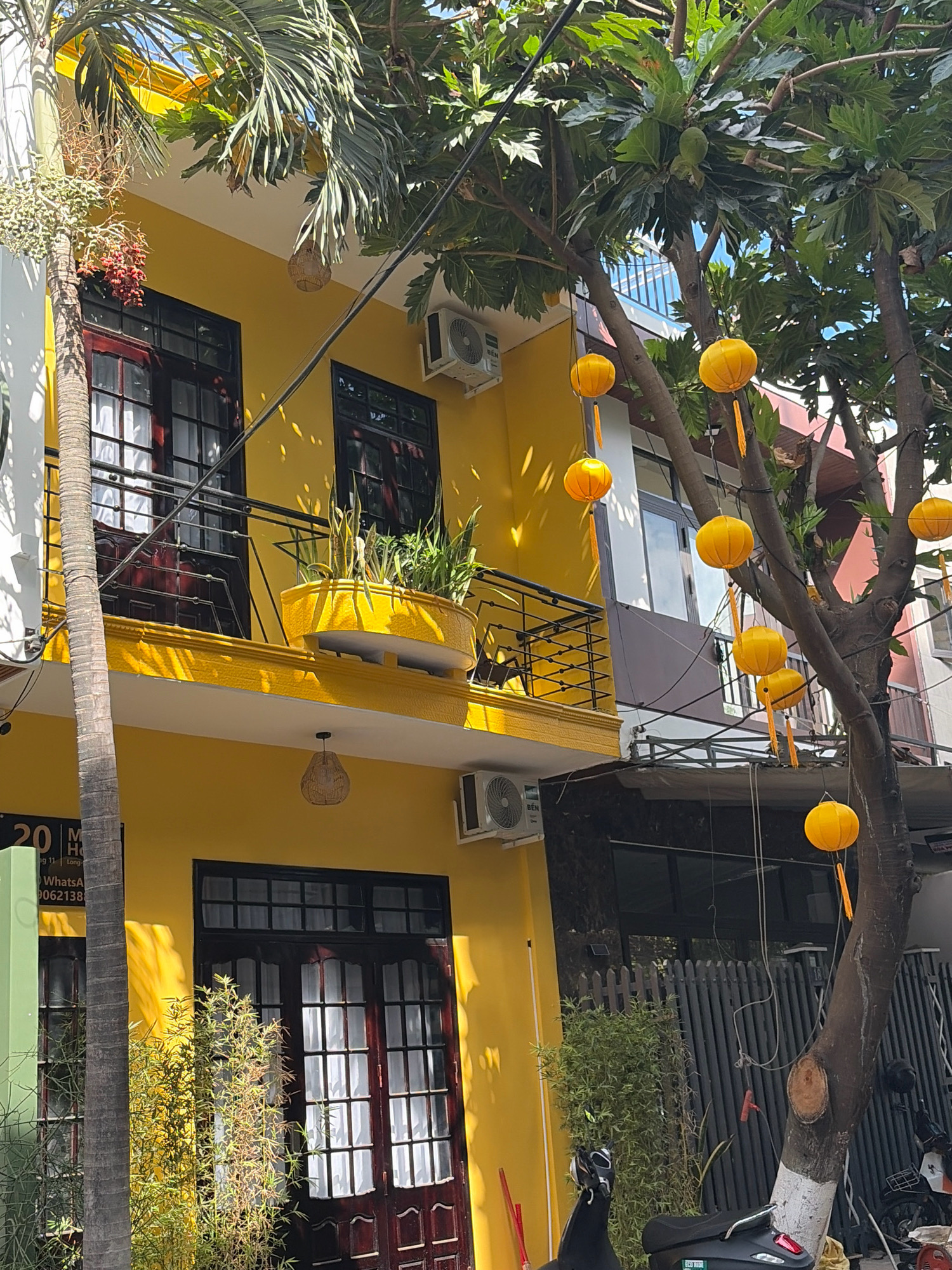 The image depicts a yellow building with a balcony on the upper floor, located in Đà Nẵng, Vietnam. The building features dark-framed windows and doors. On the balcony, a yellow planter contains green plants. A palm tree is visible on the left side of the building. Several round yellow lanterns are hanging from the branches of a tree on the right side of the image. The tree has a thick trunk and its branches are laden with green leaves. In the foreground, a portion of a dark-colored scooter is visible. The scene is illuminated by daylight, casting shadows on the building and the ground. The building appears to be a residential or commercial property. The street appears to be narrow with other buildings visible in the background.