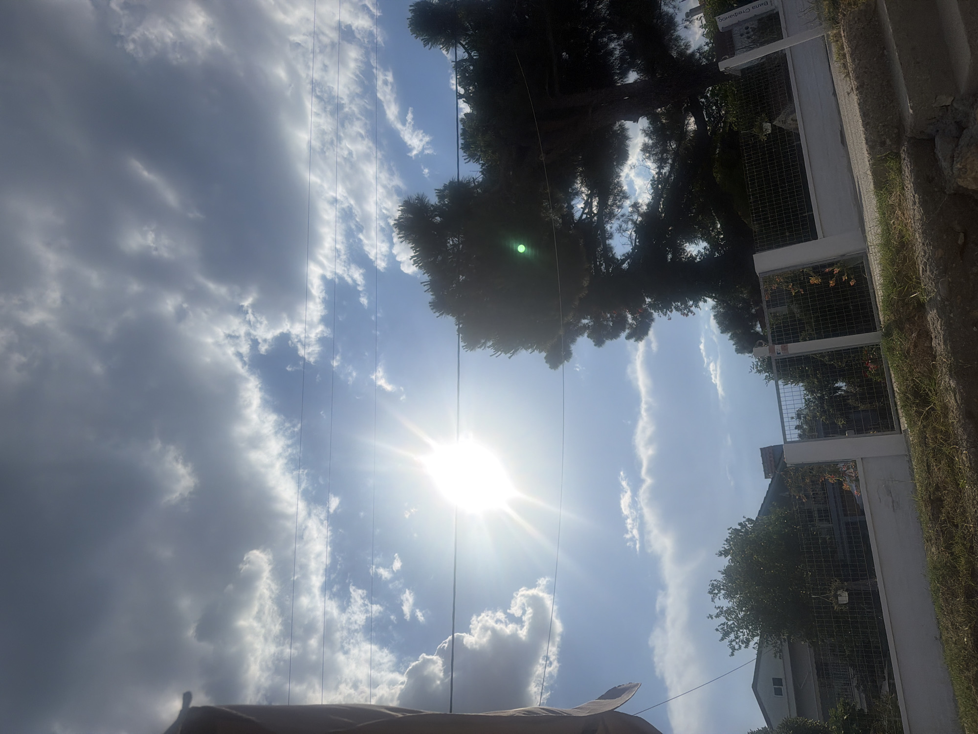 This image captures a bright, sunny day in Mandra, Greece, with the sun at its zenith. The sky is a vibrant blue, dotted with fluffy white clouds that are being illuminated by the intense sunlight. The sun itself is a dazzling focal point, creating a lens flare effect and casting a bright glow across the scene.
In the foreground, the top of a tan-colored awning or cover is visible, suggesting an outdoor setting, possibly a seating area or a market stall. Above this, several thin black wires crisscross the frame, indicating the presence of overhead power or communication lines.
Dominating the upper portion of the image is the dense foliage of a large tree, its dark green leaves silhouetted against the bright sky. A faint green reflection or glint is visible within the tree canopy, likely a result of the strong sunlight interacting with the lens.
To the right of the frame, a white building with a white fence runs along the side of the image. The fence has a wire mesh infill, and glimpses of green grass and some plants with orange flowers can be seen through it. Further back, another building with windows and more greenery is visible. A street or pathway with a grey, rough surface is also present alongside the grassy area. The overall impression is of a warm, sunny day in a semi-urban or suburban environment. No people are visible in the frame, and no text is clearly legible.