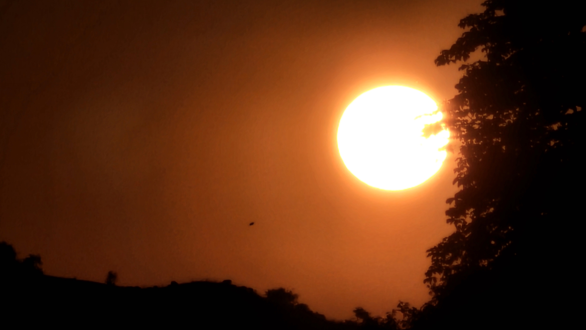 A brightly lit sun, partially obscured by the silhouette of a tree on the right, dominates the right side of the image. The sun is a luminous white orb, radiating an intense orange glow that fills the sky. The sky itself is a gradient of warm orange and brown hues, with a hazy quality. In the lower portion of the image, a dark, silhouetted landscape suggests rolling hills or a treeline. A small, dark object, possibly an insect or bird, is visible in the middle left of the sky, appearing as a tiny speck against the bright backdrop. The scene is likely captured during sunset or sunrise, given the intense colors and the silhouetted foreground. The overall impression is one of natural beauty and the dramatic effect of light at dawn or dusk. No specific location in Roßleben, Germany is discernible from the image.