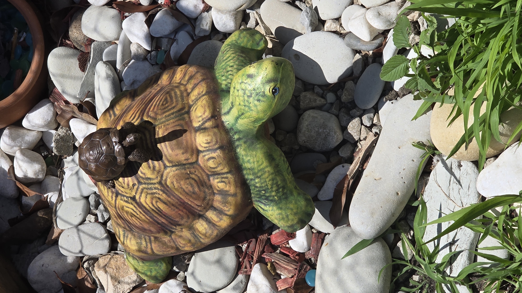 The image depicts a garden setting with a decorative ceramic turtle as the central subject. The larger turtle has a mottled brown and yellow shell with green legs and head. Perched on its shell is a smaller, dark brown ceramic turtle. Both are placed on a bed of various sized rocks, ranging from smooth, pale grey river stones to smaller, rougher gravel. Scattered amongst the rocks are dried leaves and some reddish-brown mulch. In the foreground, green grass sprouts between some of the larger stones. In the background, the edge of a terra cotta pot is visible. The scene is illuminated by bright sunlight, casting shadows. The overall impression is of a whimsical garden decoration. This scene is located in a garden in the city of Rudnik, Bulgaria.