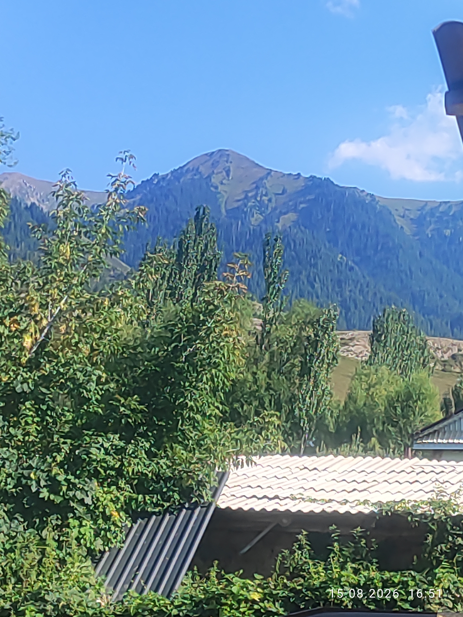 This image, taken in Kerege-Tash, Kyrgyzstan, depicts a scenic view of mountains and vegetation. In the foreground, lush green trees with dense foliage dominate the left and center of the frame. To the lower right, a section of a white, tiled roof is visible, with a darker, corrugated material underneath. Further back, a stand of tall, slender trees with dark green leaves adds to the natural landscape. In the midground, rolling hills with scattered greenery are present. The background is dominated by a majestic mountain range, its slopes covered in a mix of light brown earth and dark green trees. The sky above is a clear, bright blue with a few wispy white clouds. A timestamp in the lower right corner reads "15.08.2026 16:51". There are no people or animals visible in the image.