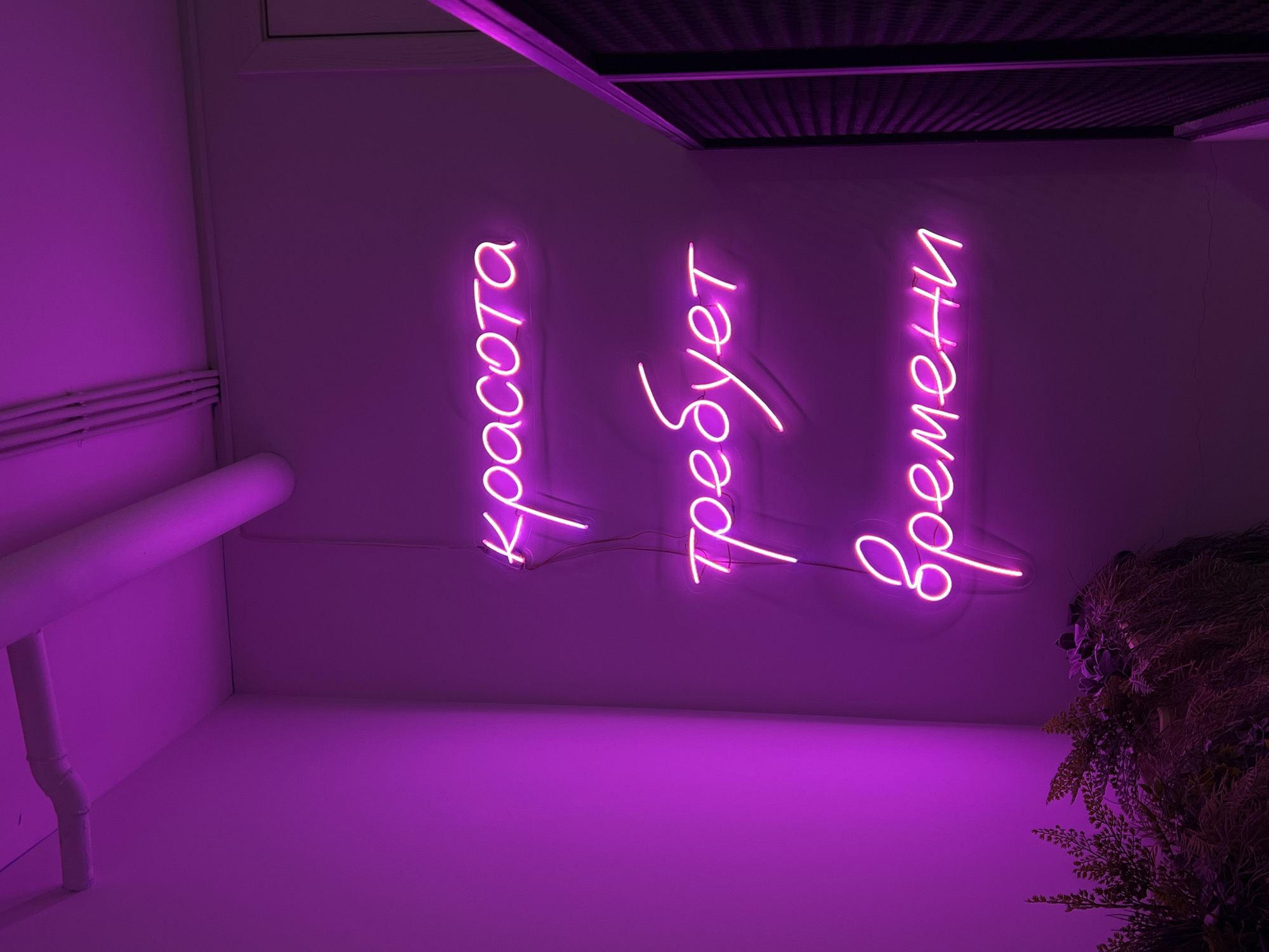 The image shows a dimly lit interior with a purple/magenta hue, likely due to the neon sign illuminated on the wall. The text, written in Cyrillic script, is "Красота требует времени," which translates to "Beauty takes time." A pipe runs along the left wall and ceiling, and electrical conduit is visible near the corner. A dark, textured object that appears to be a plant or decorative installation is visible in the lower right corner. Based on image metadata and location information, the scene appears to be set in Khimki, Russia. The environment is otherwise sterile and uncluttered.