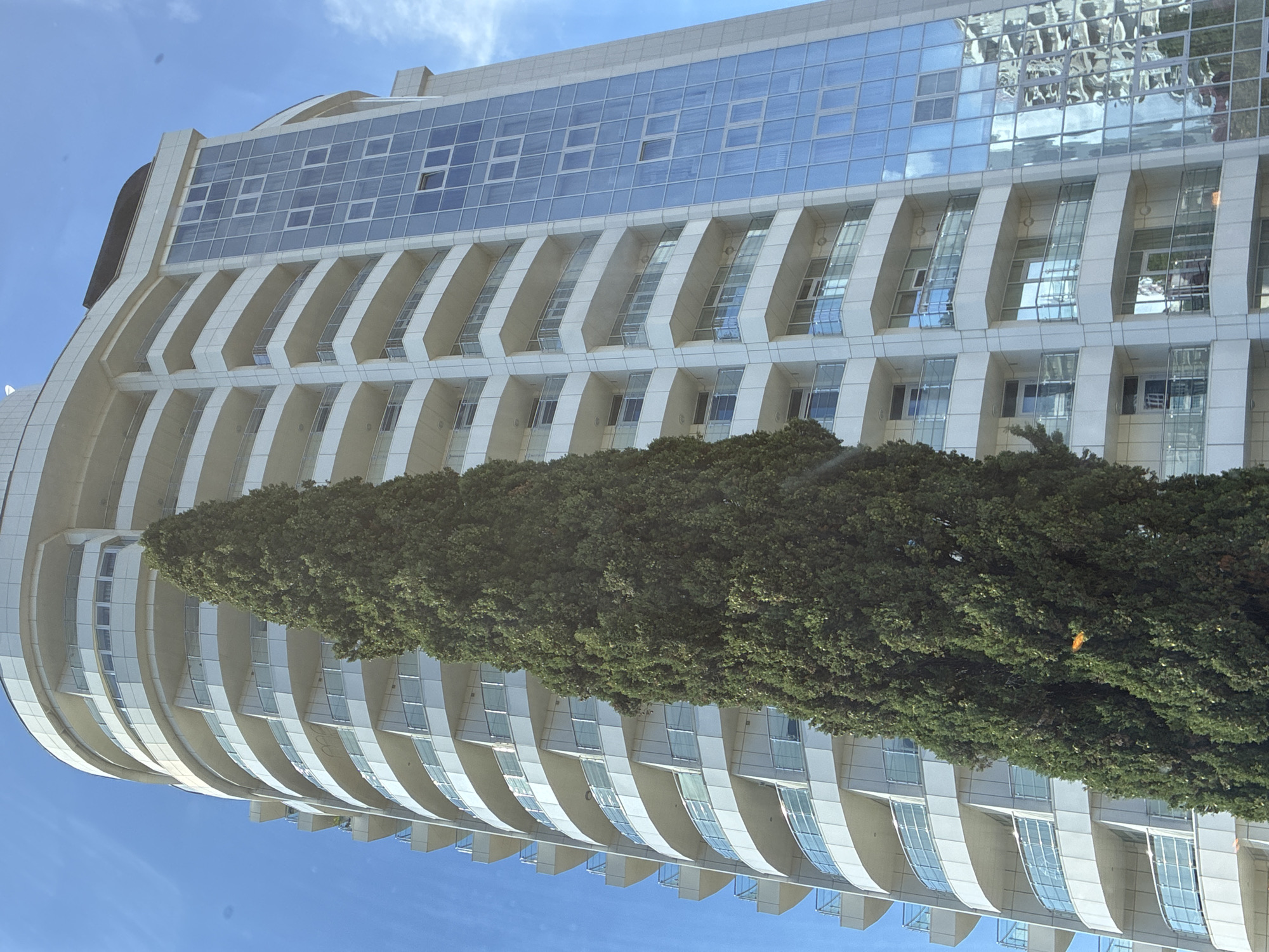 The image shows a tall, modern apartment building with a curved facade, featuring numerous balconies with glass railings. A very tall, dense evergreen tree stands in front of the building, partially obscuring it. The building's exterior is a combination of white panels and large windows that reflect the sky and clouds. The sky is clear and blue with a few wispy clouds. The image appears to be taken in Sochi, Russia, given the architectural style and vegetation. There are no people or any visible activity in the image. A small orange object is visible within the tree, the nature of which is unclear.