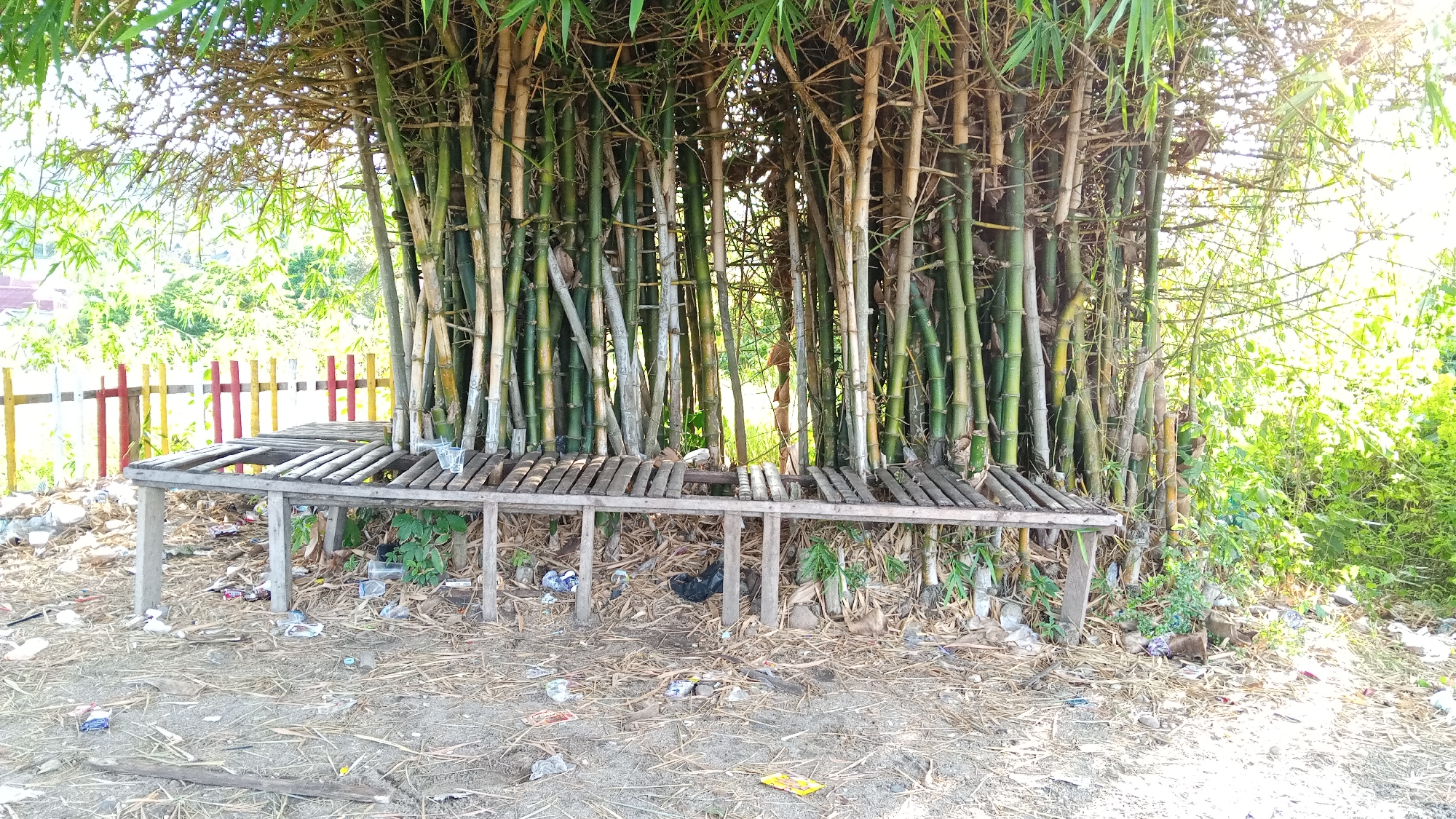 In Uruekanoe, Indonesia, a wooden bench sits beneath a dense grove of bamboo trees. The bench is weathered and appears to be made of repurposed planks, with several gaps indicating damage. The ground around the bench is covered in dry bamboo leaves, scattered debris, and some plastic waste. Behind the bench, a fence made of vertical posts painted in red, yellow, and white runs horizontally. The bamboo stalks are tall and varied in color, ranging from green to yellowish-brown, with some showing signs of age. Sunlight filters through the bamboo leaves and branches, creating a dappled effect. The surrounding environment is overgrown with lush green vegetation.