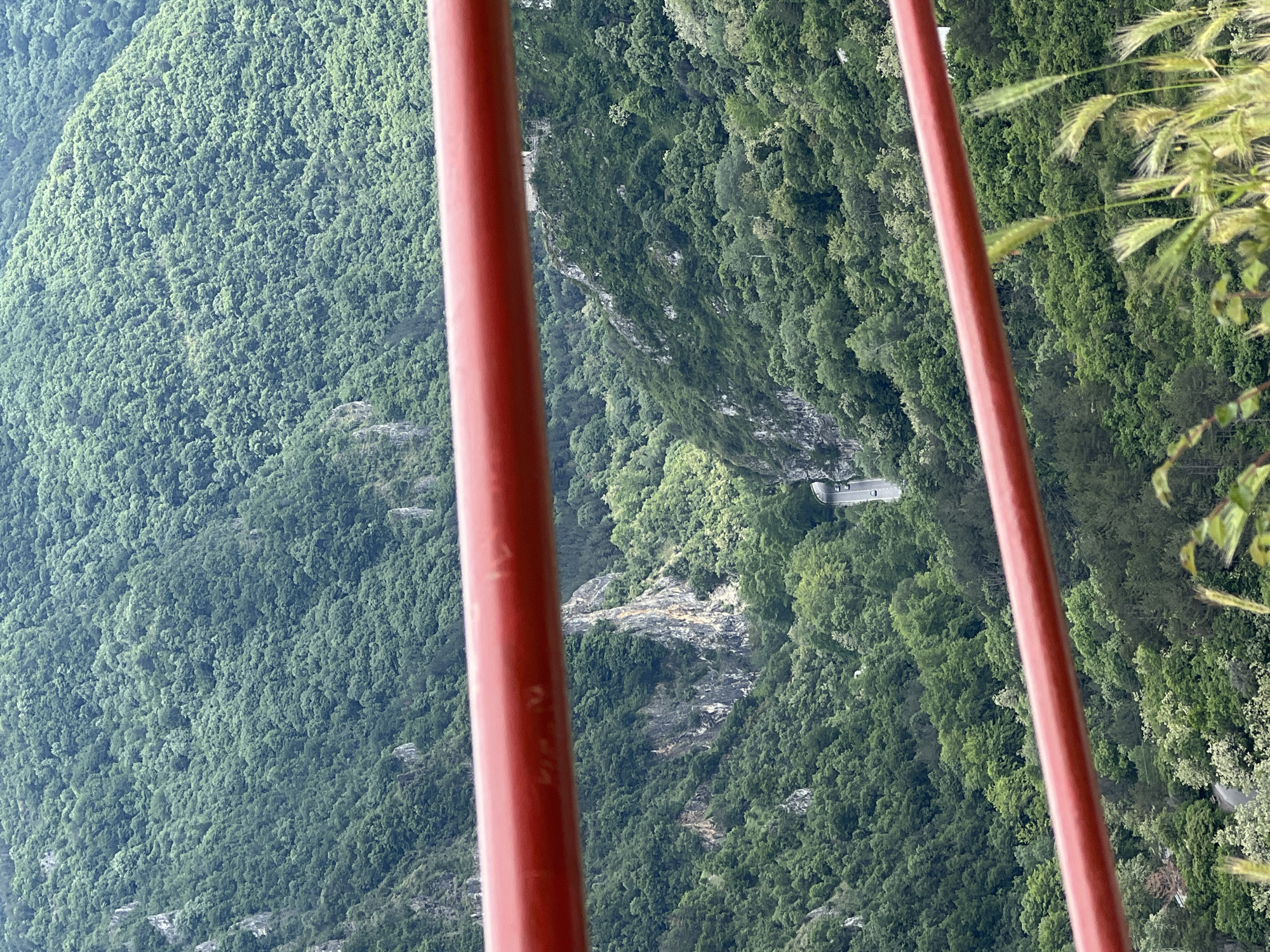 The image presents a view of a densely forested, mountainous landscape, likely taken from an elevated position such as a cable car or observation platform. The foreground is dominated by two vertical red poles. Beyond the poles, the landscape is entirely green with the dense growth of trees covering the mountainside. There is a paved road visible winding through the greenery. The image's orientation is rotated to the right by 90 degrees.
Without further context, and in the absence of additional identifying features, definitively pinpointing the location to Asenovgrad, Bulgaria is not possible. The provided details offer no specific cues that would link the scene directly to this specific city.