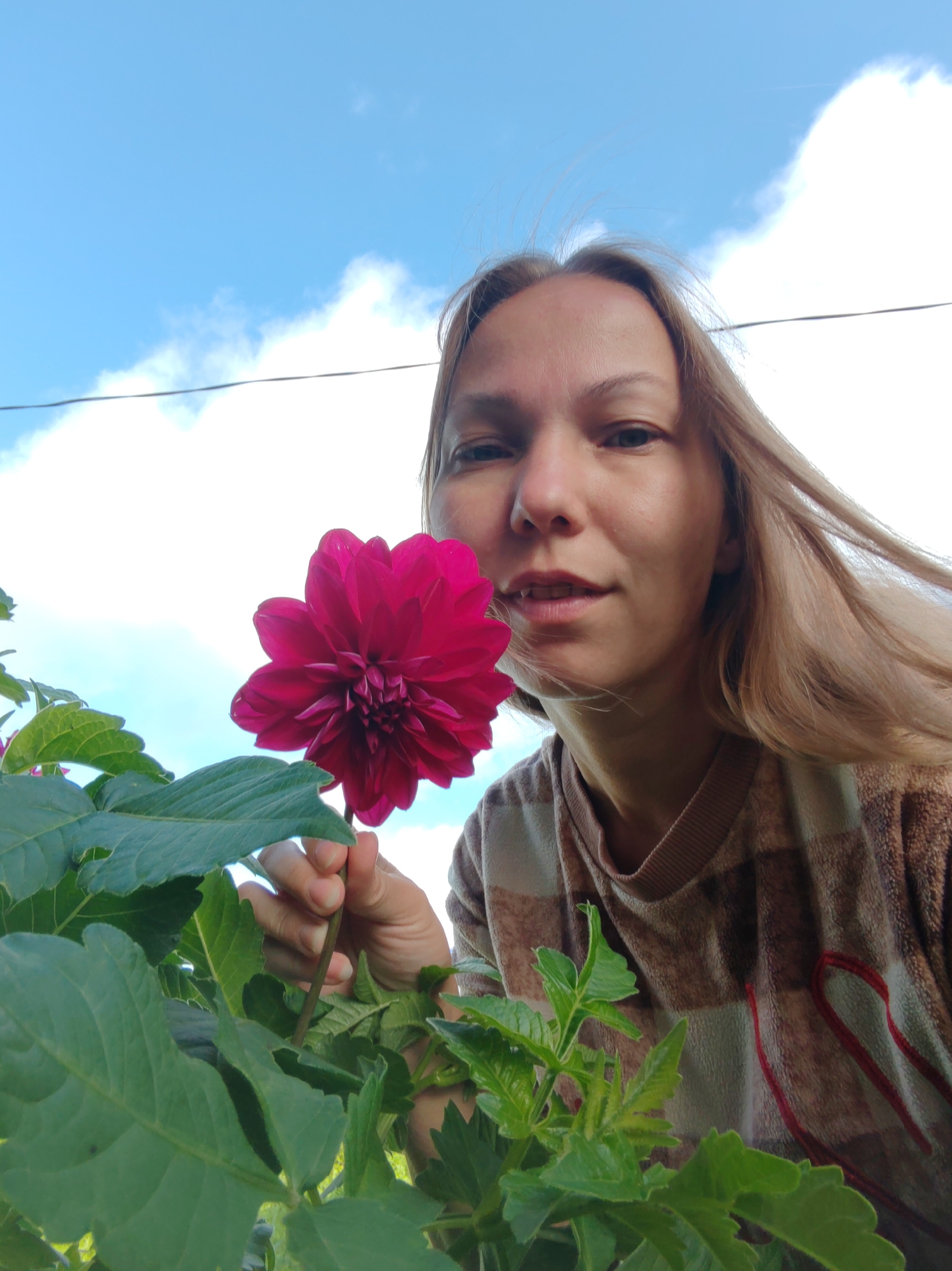 In this low-angle, outdoor, self-portrait photograph, a woman with blonde hair is holding a vibrant pink dahlia flower in front of a blue sky with scattered white clouds. She is wearing a brown and beige checkered sweater. The flower is in focus and positioned in the lower left quadrant of the image, with its petals prominently displayed. Large green leaves from a plant are also visible in the foreground. The background shows a clear sky with a faint silhouette of a wire or cable. The woman's face is partially visible, looking towards the camera. The image was taken in the city of Chuhloma, Russia.