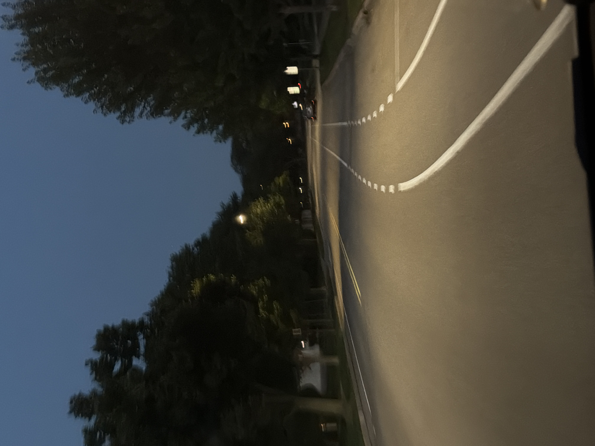 The image shows a street scene in Vernon Hills, United States of America, during dusk or early evening. A paved road with yellow and white lane markings is visible, with a car in the distance driving away from the camera. The road is lined with trees on both sides, casting shadows and creating a somewhat dim atmosphere. Streetlights are present, illuminating parts of the road. The sky is a deep blue, indicating the transition from day to night. The perspective suggests the photo was taken from inside a vehicle.