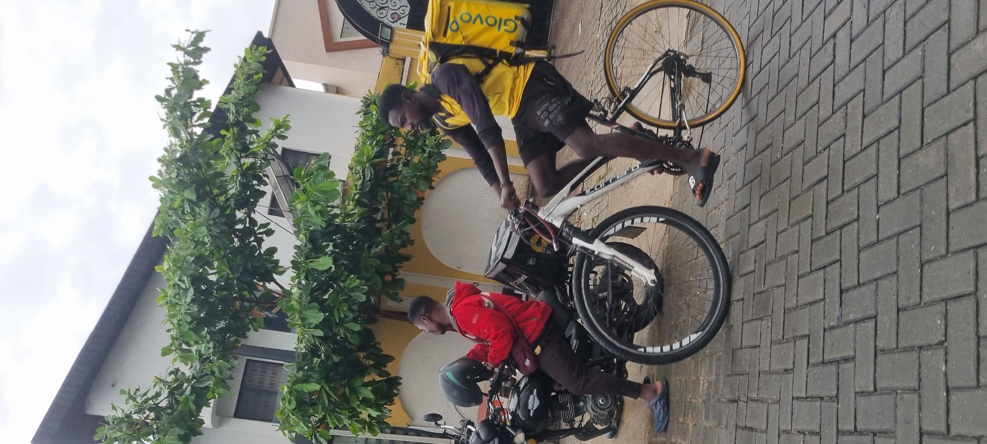 In Moba, Nigeria, two individuals are engaged in activities related to delivery services. The primary subject is a young man dressed in a yellow vest and black shorts, with a yellow "Glovo" branded delivery backpack on his back. He is riding a white bicycle, which has a black bag in the front. His stance suggests he is actively riding or about to ride the bicycle.
To his left, another young man, wearing a red jacket and dark pants, is seated on a black motorcycle. He is looking downwards, possibly attending to something on the motorcycle or a delivery item. A black helmet rests on the motorcycle in front of him.
The scene is outdoors, with a paved brick walkway. Lush green trees with some visible orange fruits are prominent on the left side of the image, bordering a building. The building appears to be a residential structure with a triangular roof and some windows. The sky is overcast, indicating a cloudy day. The overall impression is one of everyday work and activity in a Nigerian urban or semi-urban environment, likely during daylight hours. The clothing of the individuals and the presence of delivery services point to a commercial context. There is no clear indication of emotions, but the individuals appear focused on their tasks. Visible text includes "Glovo" on the backpack.
