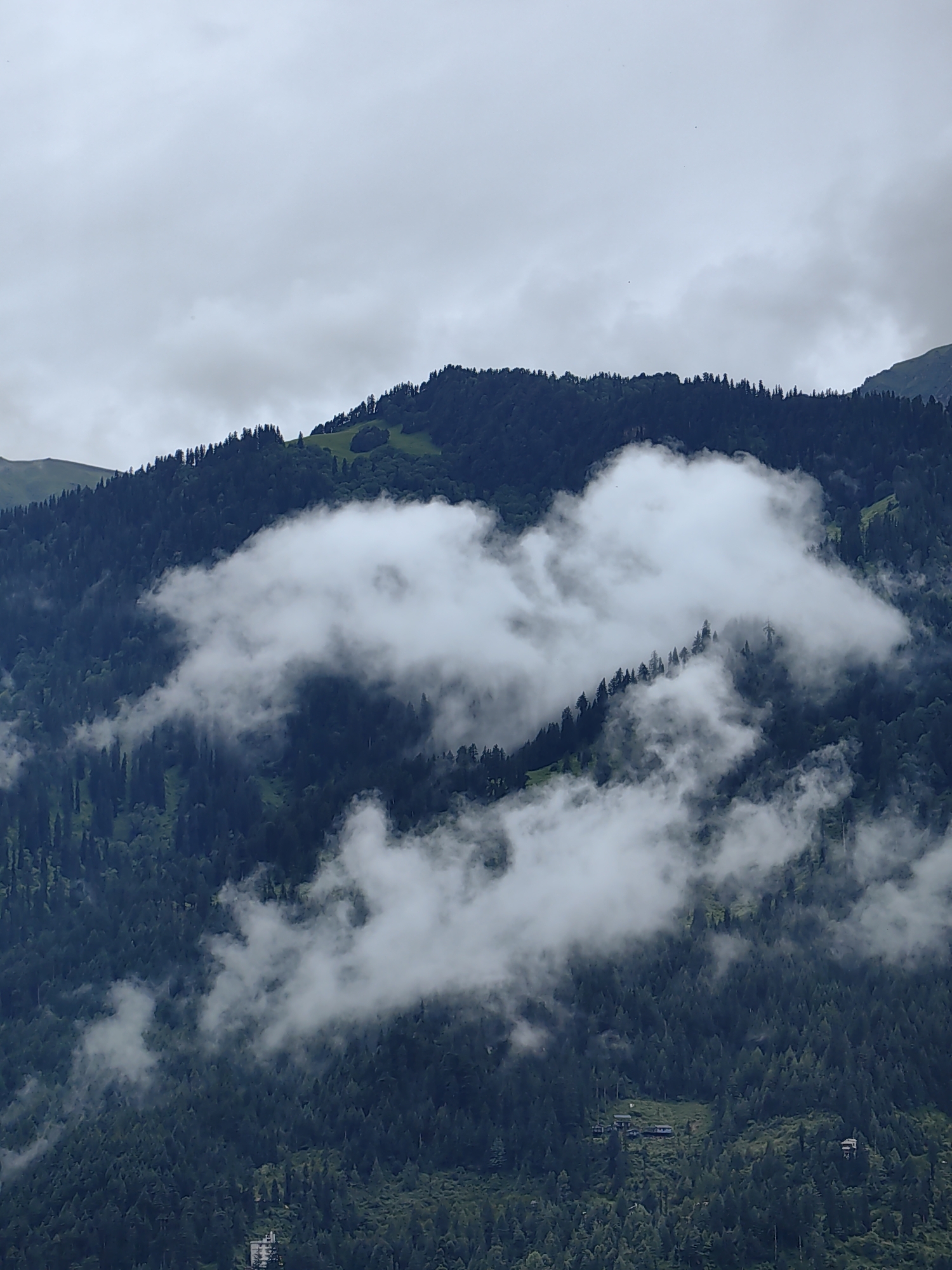 This image captures a mountainous landscape with dense pine forests and a cloudy sky. The cloud cover is thick and obscures parts of the mountain peaks, creating a dramatic effect. Several patches of white clouds are seen floating amongst the trees, some appearing to be shaped like a heart. Scattered throughout the forest on the lower slopes of the mountain are a few small buildings, indicative of a rural or semi-rural settlement. The overall scene suggests a remote, natural environment. The location is Vashisht, India.