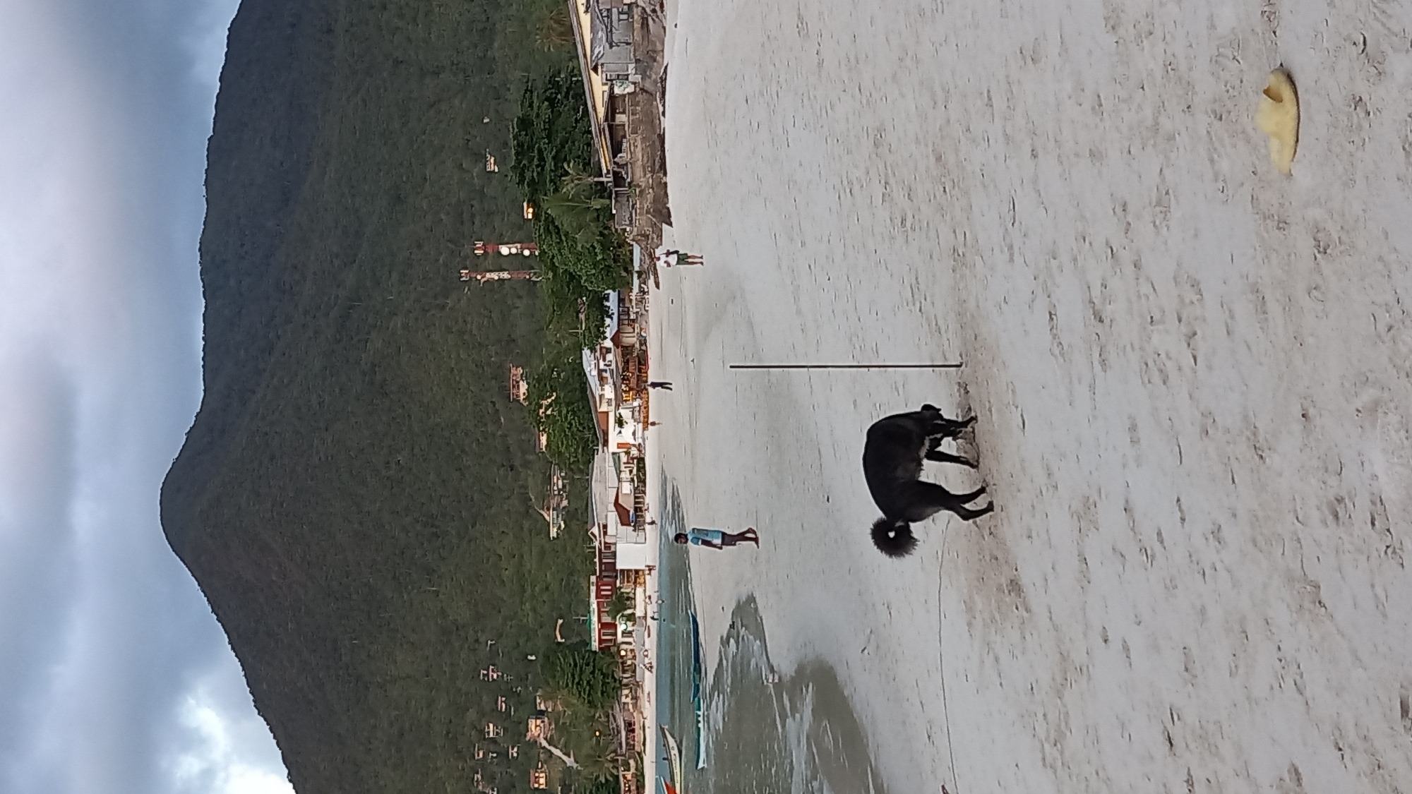 In ตำบลเกาะพะงัน, Thailand, a dark-colored dog is digging in the sand on a beach. The dog is in the foreground, facing away from the camera, with its head down near a thin, dark pole. In the background, the beach stretches towards a line of buildings and lush green hills under a cloudy sky. Several small boats are visible near the water's edge on the left side of the image, and a few people are scattered across the sand, some walking and some standing. A single yellow sandal lies on the sand to the right of the dog.