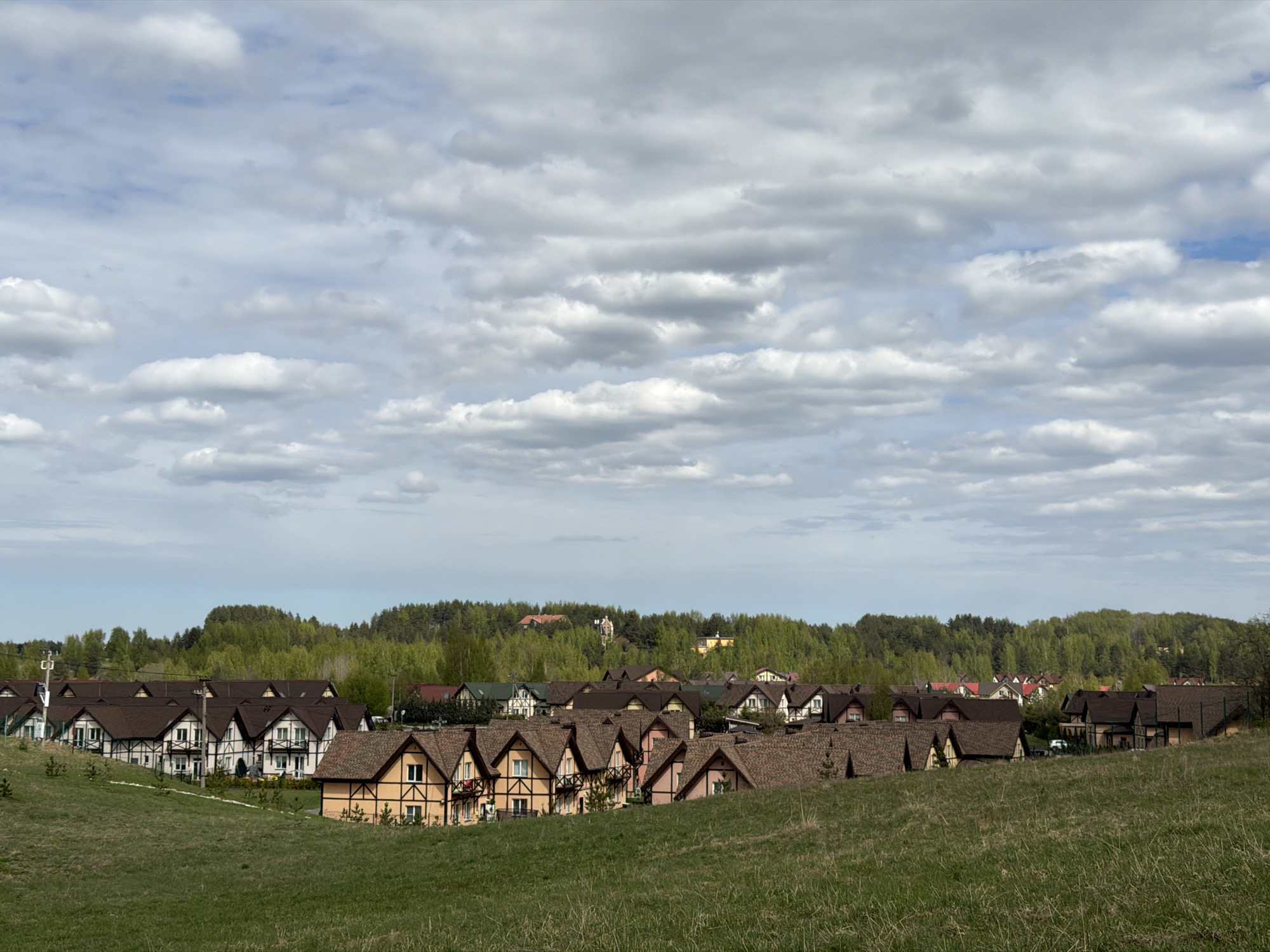 The scene depicts a suburban landscape within the city of Tokkari-Lend, Russia. A cluster of single-family, Tudor-style homes are situated in a slightly elevated grassy field, which slopes gently upward. The houses feature dark brown roofs and varied wall colors, including white, yellow, and pink. Behind the residential area is a dense forest, its green canopy visible along the horizon. Above, the sky is filled with a pattern of gray and white clouds. The overall impression is one of a quiet, rural community.