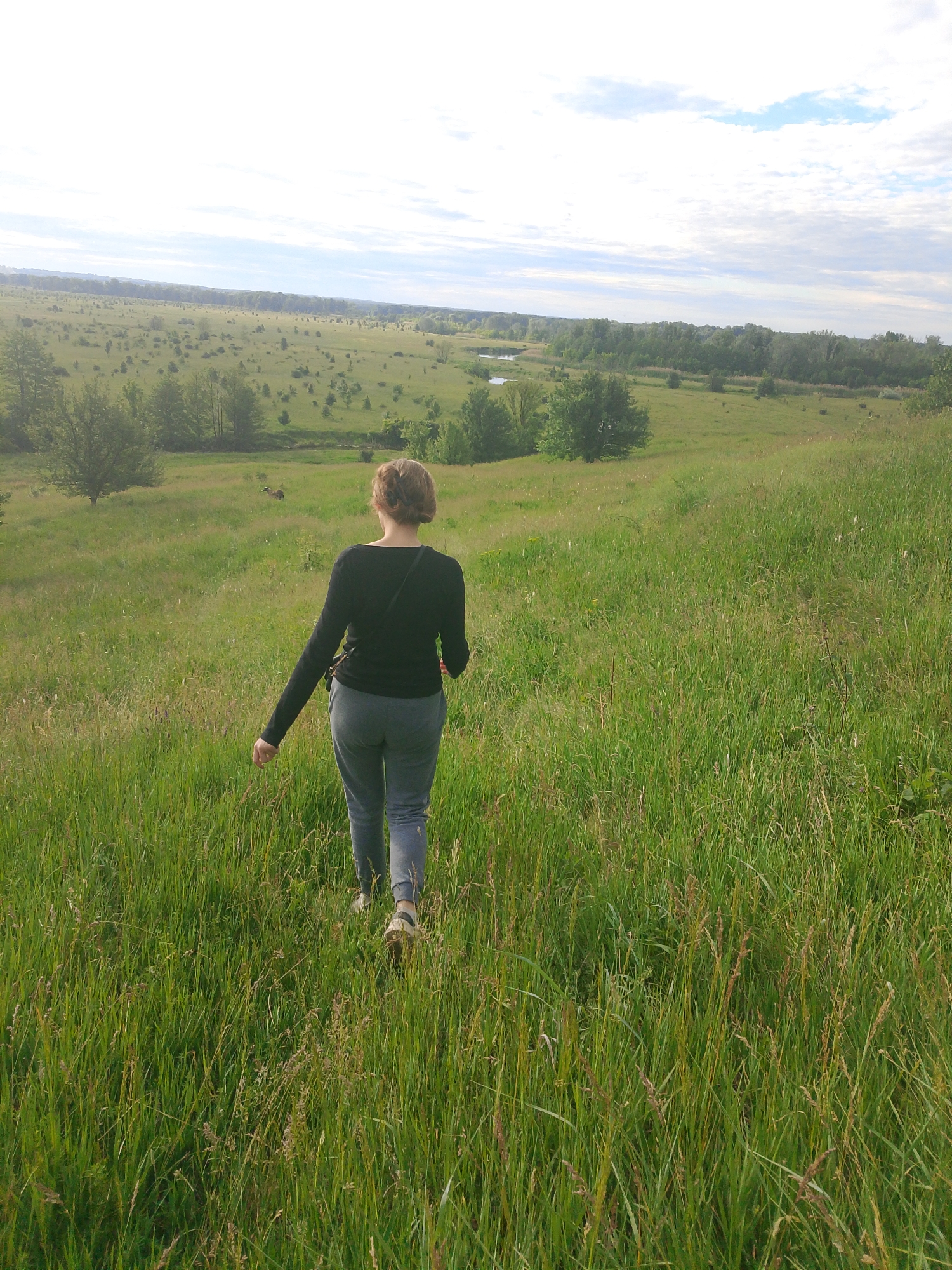A lone person is depicted walking away from the camera, descending a grassy slope into a vast natural landscape. The individual, with light brown hair pulled back, is wearing a long-sleeved black top, grey casual trousers, and light-colored sandals or low-profile shoes. A dark strap from what appears to be a bag crosses their left shoulder.
The immediate foreground is dominated by lush, tall green grass, creating a path for the walker. Beyond this, the mid-ground unfolds into an expansive meadow or field, dotted with numerous scattered small trees and shrubs, suggesting a pastoral or wilderness setting. In the far background, a dense line of trees stretches horizontally across the horizon, indicating a forest or riverbank, with glimpses of a winding body of water visible on the left side of the distant landscape.
The sky is partly cloudy, with patches of blue visible through white clouds, suggesting pleasant weather. The soft, bright lighting points to either an early morning or late afternoon setting. The overall scene evokes a sense of peaceful exploration and tranquility within a wide-open, natural environment. There is no visible text in the image.