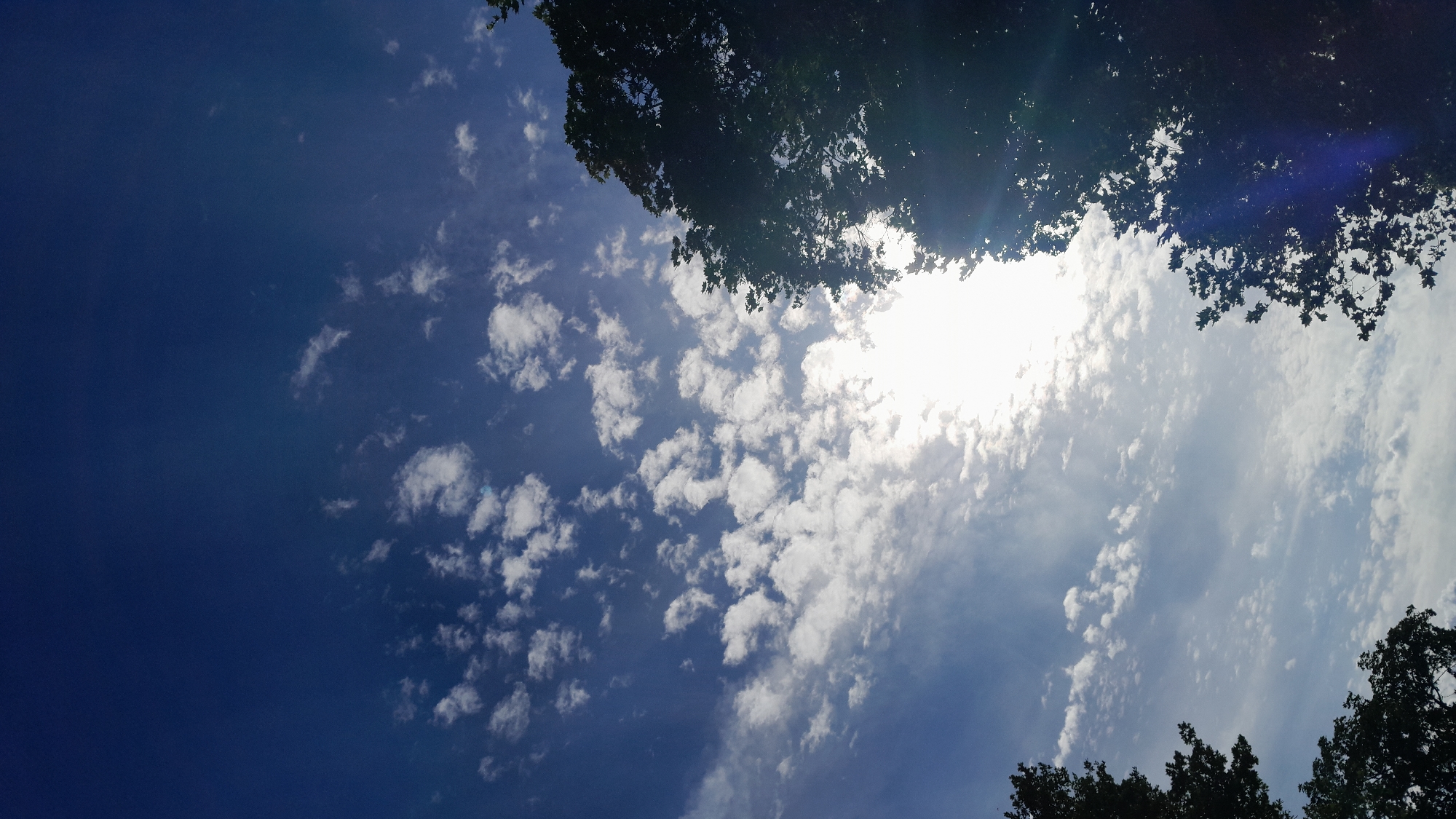 This is a photograph taken from a low angle, looking up at a bright, partly cloudy sky, with the dark silhouettes of trees framing the right and lower edges of the image. The sun is intensely bright, positioned in the upper right quadrant, and is partially obscured by the tree branches. The clouds are scattered, appearing as fluffy white patches against a deep blue sky. The image has a slight lens flare effect in the lower right, characterized by a blueish light streak. The scene suggests an outdoor environment, possibly a park or a residential area with mature trees. The location is identified as Krakow, Poland.